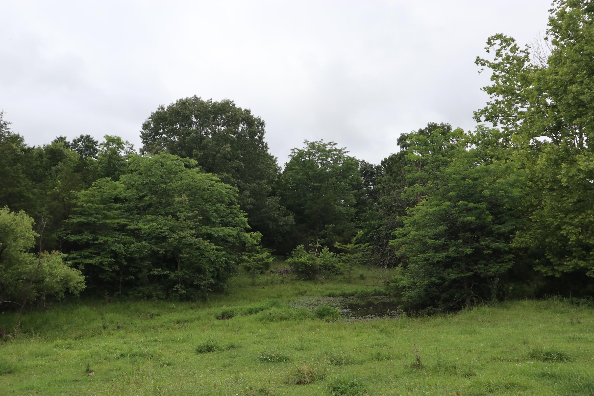 Photo 29 - Vacant Land for sale – TBD  Hwy 9 S   Salem, AR