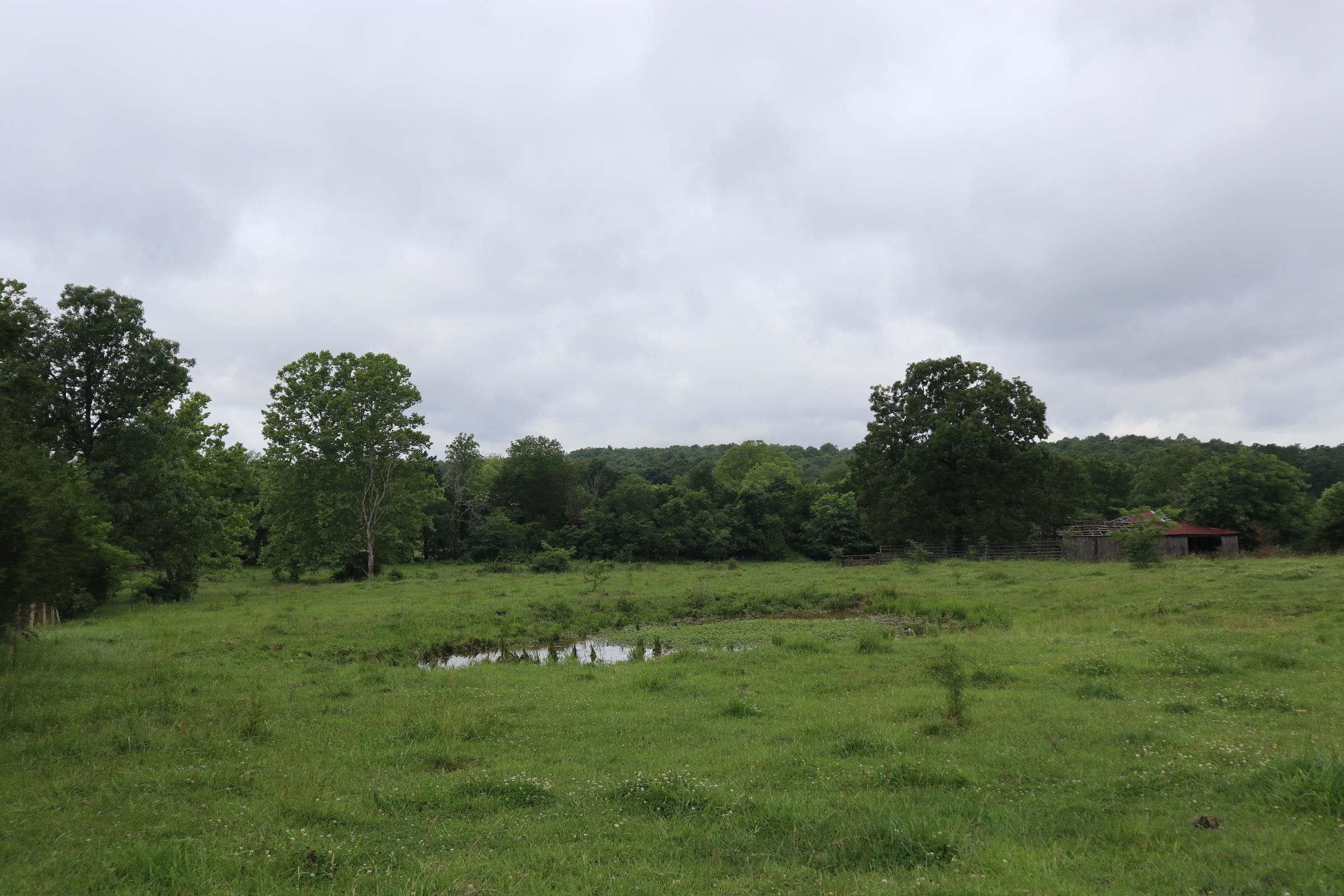 Photo 31 - Vacant Land for sale – TBD  Hwy 9 S   Salem, AR