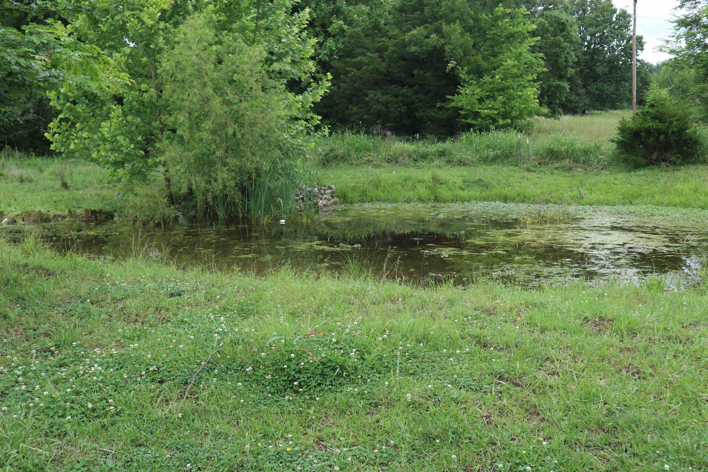 Photo 32 - Vacant Land for sale – TBD  Hwy 9 S   Salem, AR