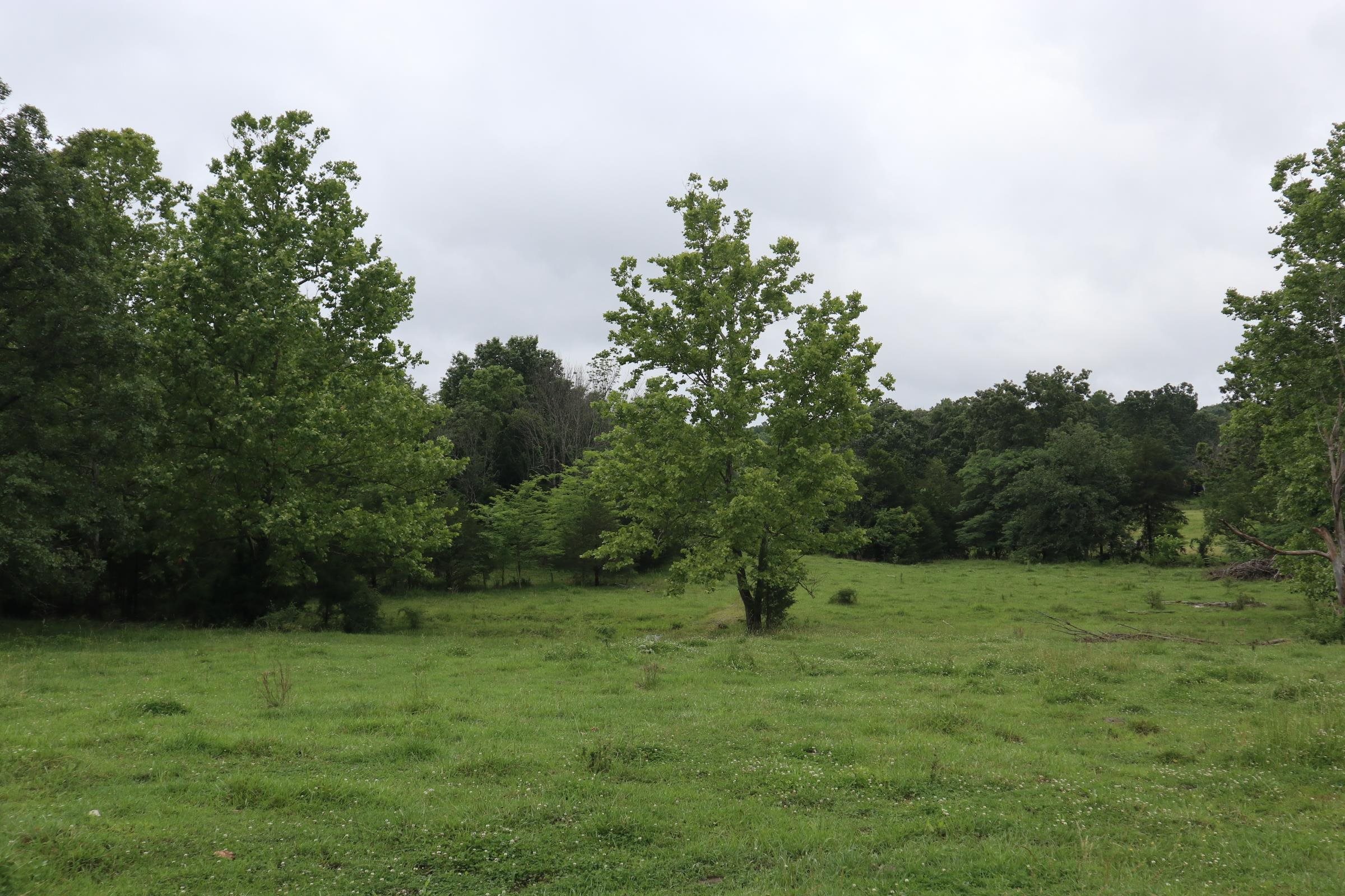 Photo 33 - Vacant Land for sale – TBD  Hwy 9 S   Salem, AR