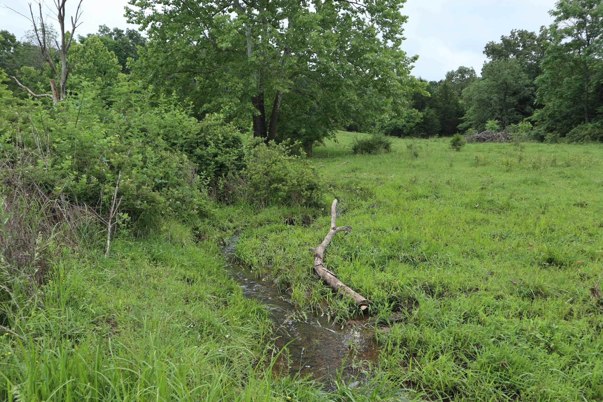 Photo 37 - Vacant Land for sale – TBD  Hwy 9 S   Salem, AR