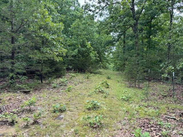 Photo 39 - Vacant Land for sale – TBD  Hwy 9 S   Salem, AR