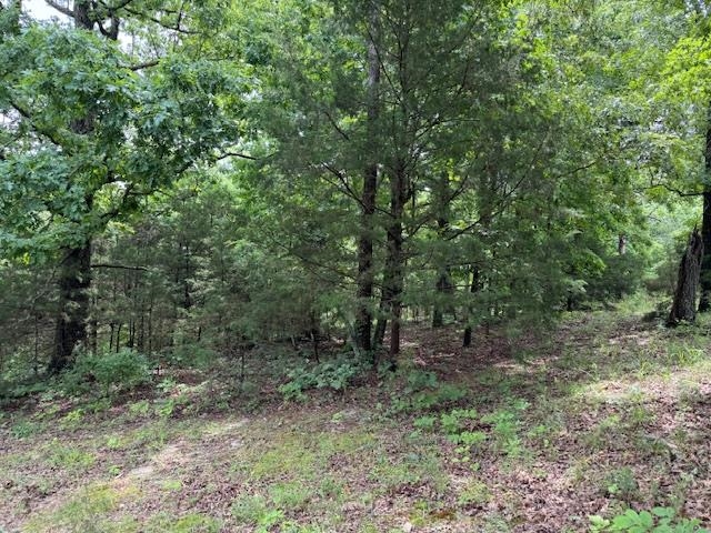 Photo 40 - Vacant Land for sale – TBD  Hwy 9 S   Salem, AR