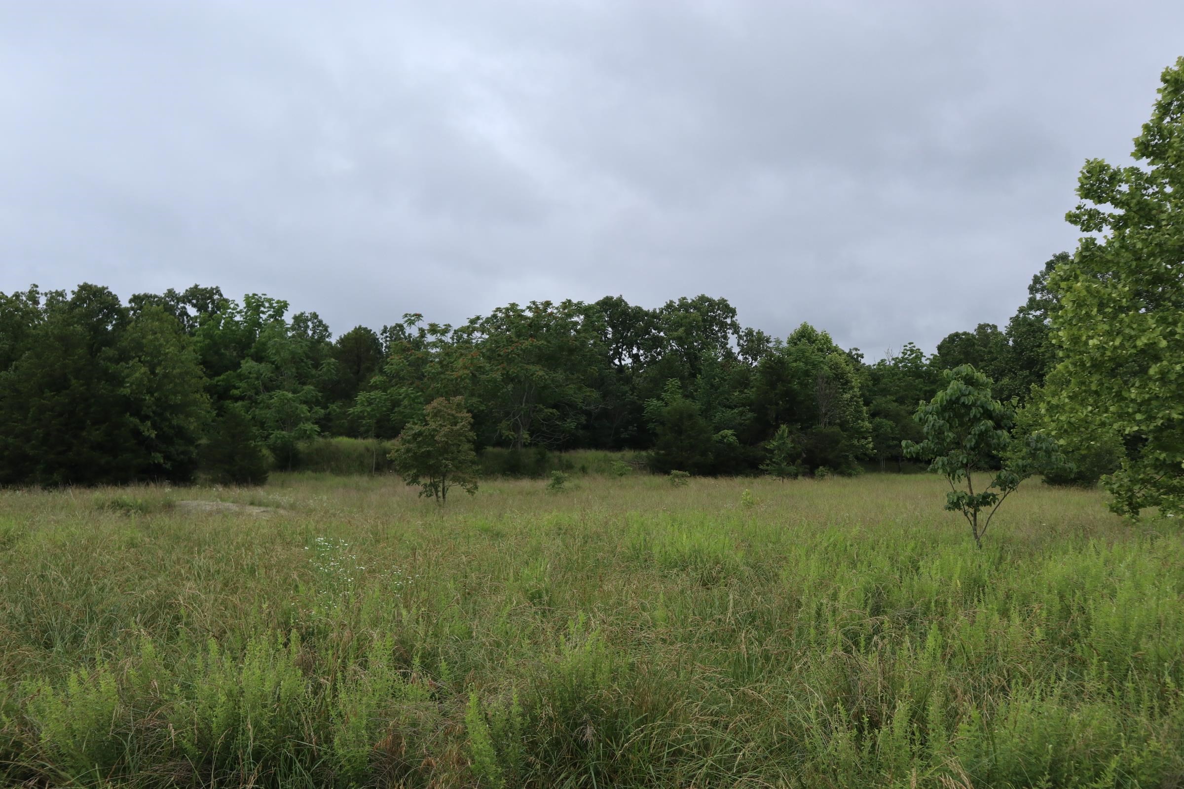 Photo 5 - Vacant Land for sale – TBD  Hwy 9 S   Salem, AR