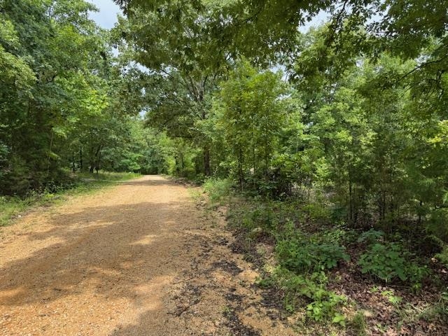 Photo 42 - Vacant Land for sale – TBD  Hwy 9 S   Salem, AR