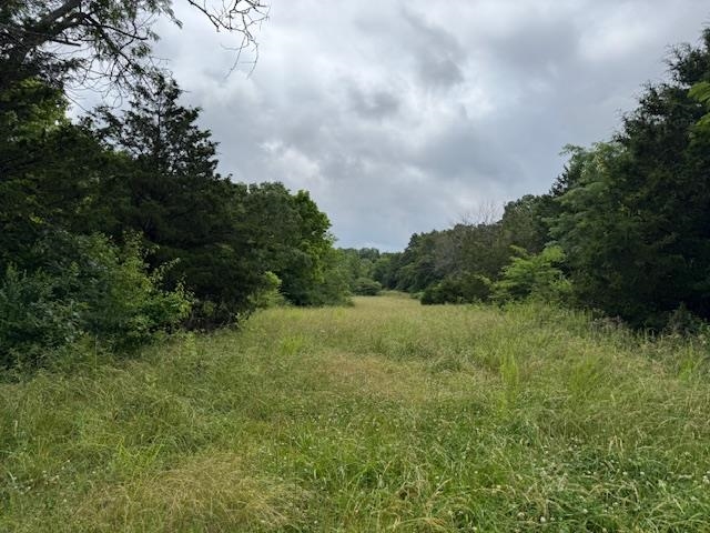 Photo 43 - Vacant Land for sale – TBD  Hwy 9 S   Salem, AR