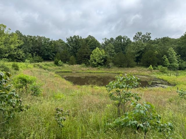 Photo 44 - Vacant Land for sale – TBD  Hwy 9 S   Salem, AR