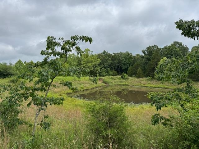 Photo 45 - Vacant Land for sale – TBD  Hwy 9 S   Salem, AR