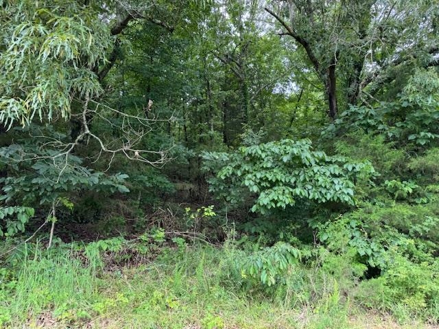 Photo 46 - Vacant Land for sale – TBD  Hwy 9 S   Salem, AR