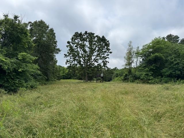 Photo 49 - Vacant Land for sale – TBD  Hwy 9 S   Salem, AR