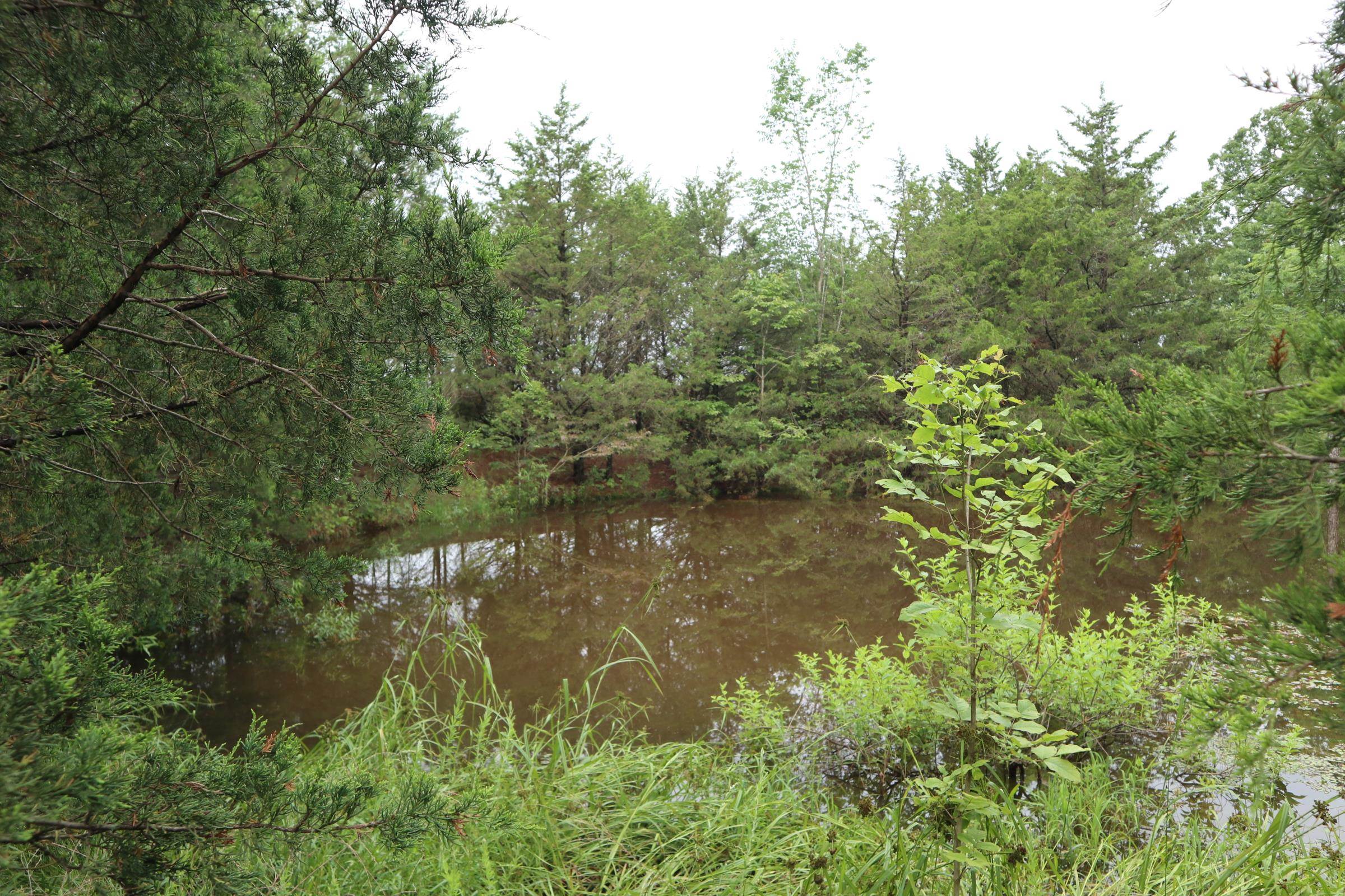 Photo 6 - Vacant Land for sale – TBD  Hwy 9 S   Salem, AR