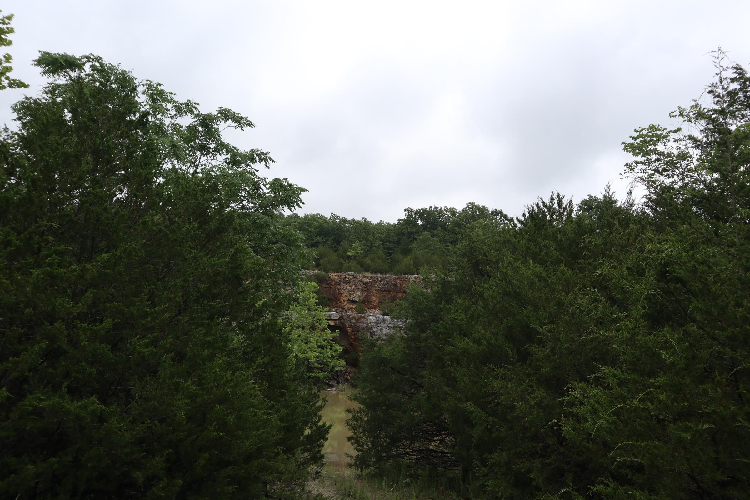 Photo 7 - Vacant Land for sale – TBD  Hwy 9 S   Salem, AR