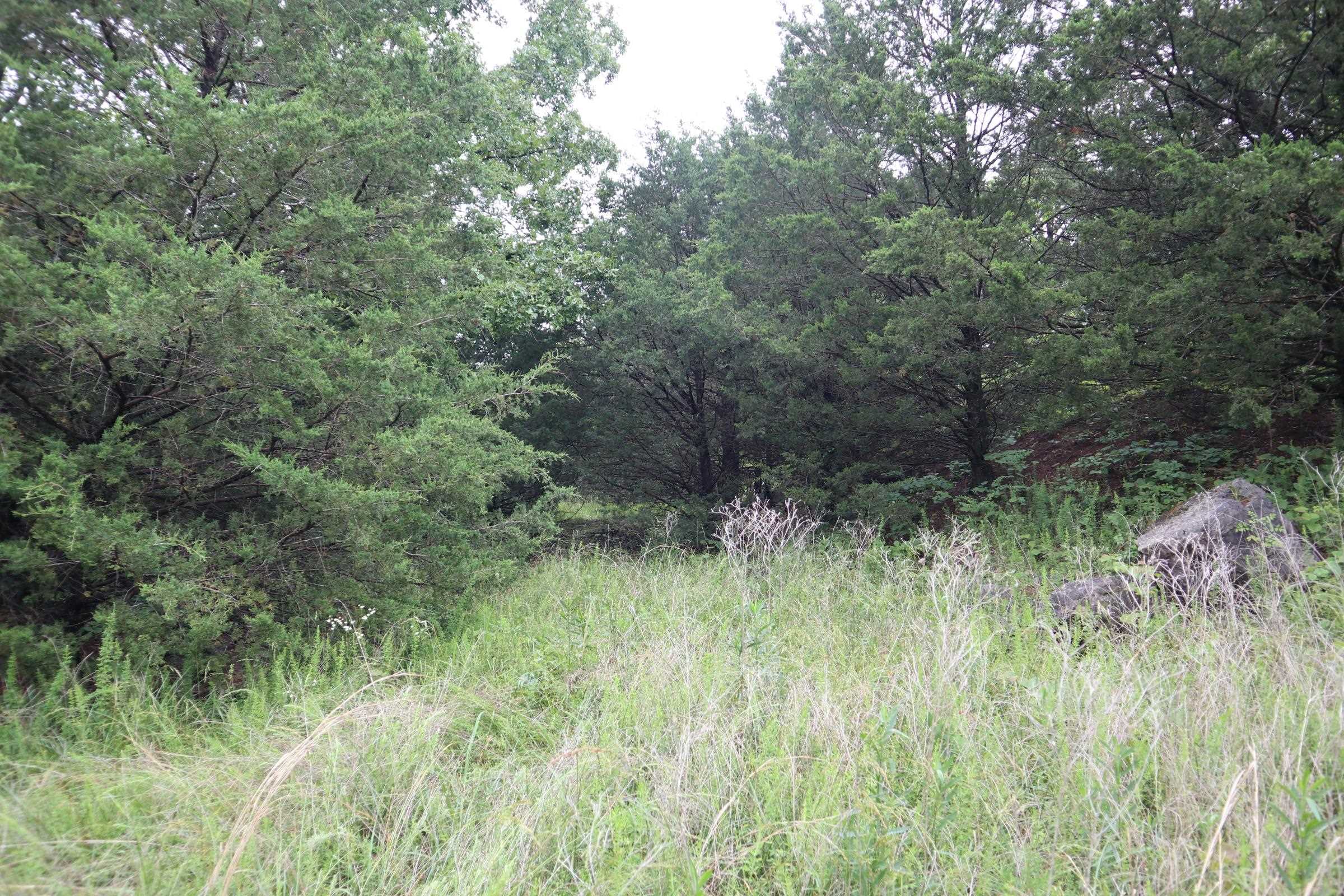 Photo 10 - Vacant Land for sale – TBD  Hwy 9 S   Salem, AR