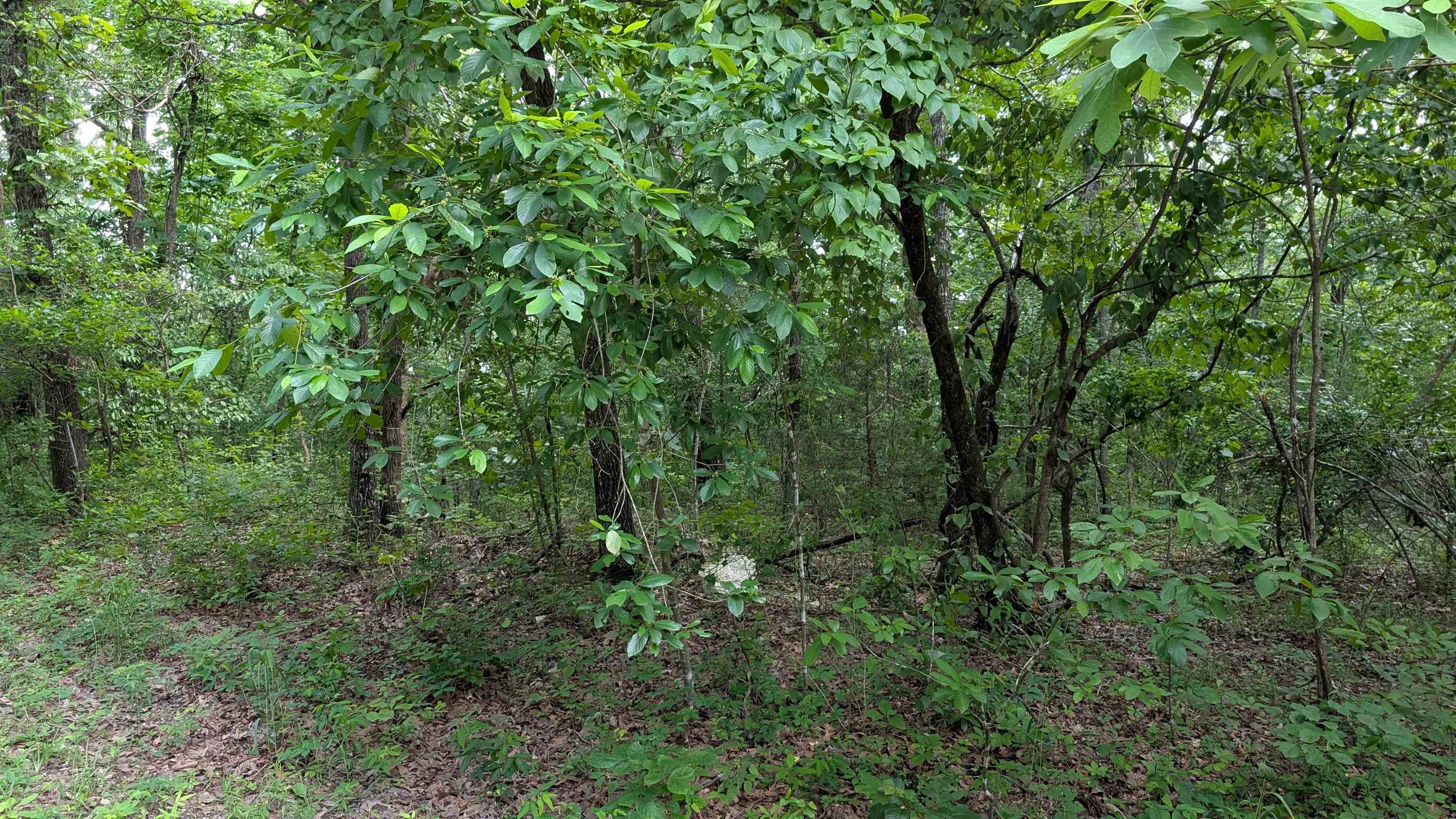 Photo 2 - Vacant Land for sale – 201  Cinderella   Horseshoe Bend, AR