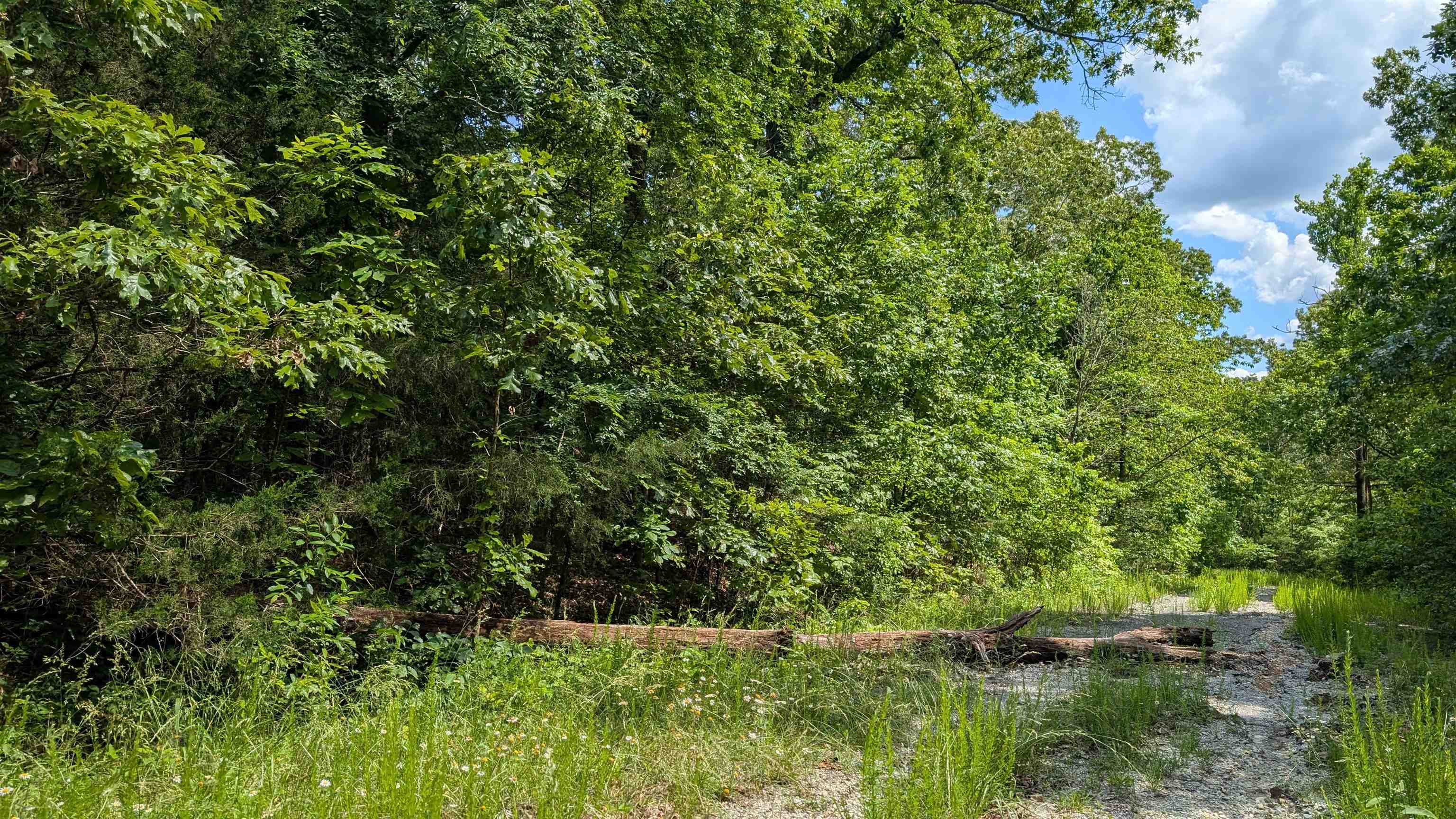 Photo 4 - Vacant Land for sale – 201  Cinderella   Horseshoe Bend, AR