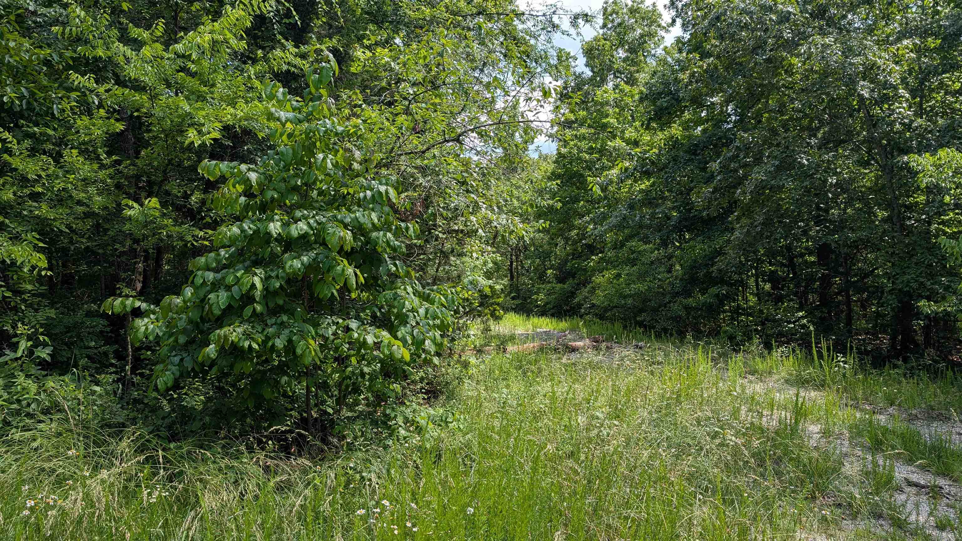 Photo 5 - Vacant Land for sale – 201  Cinderella   Horseshoe Bend, AR