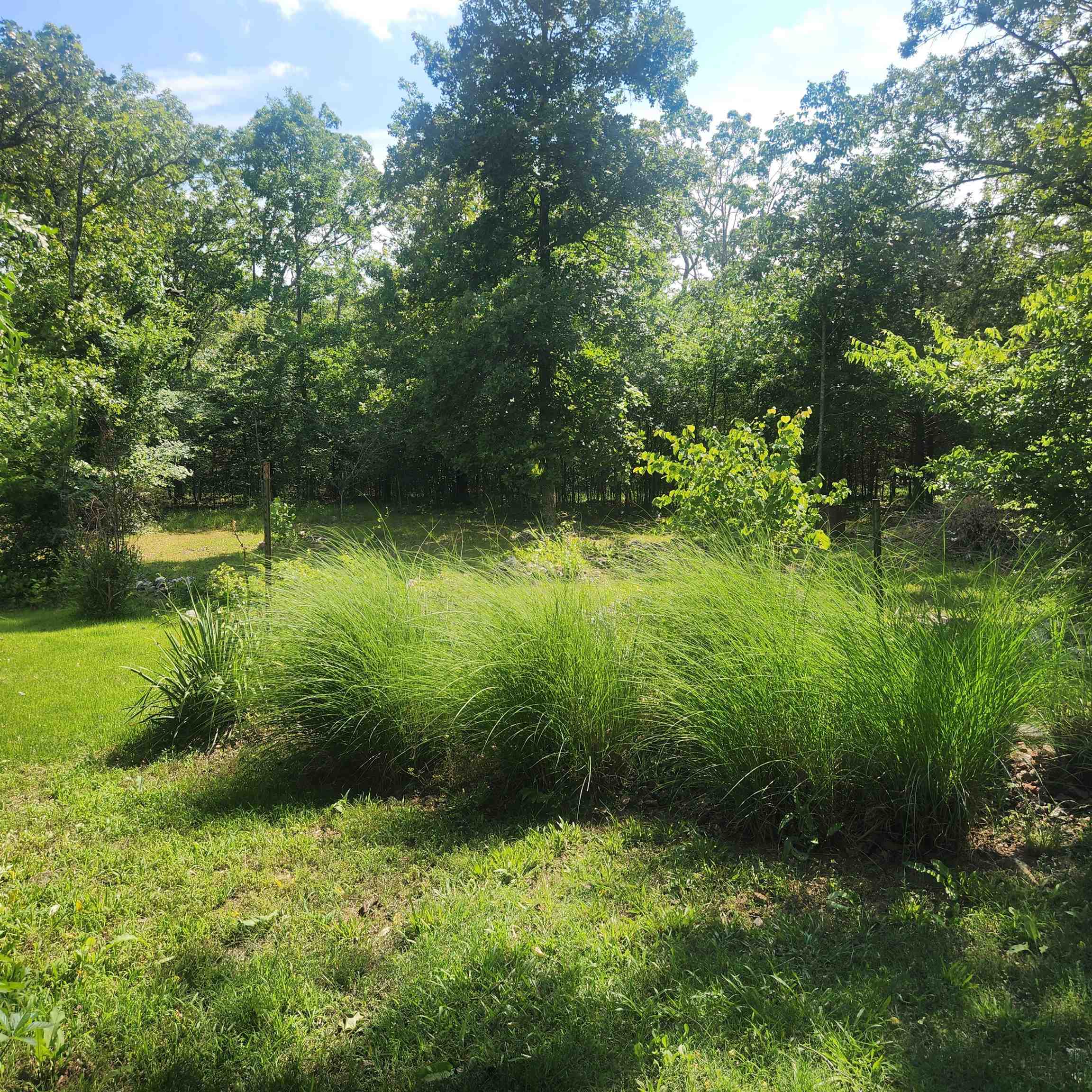 Photo 27 - Residential for sale – 63  Tablerock   Evening Shade, AR