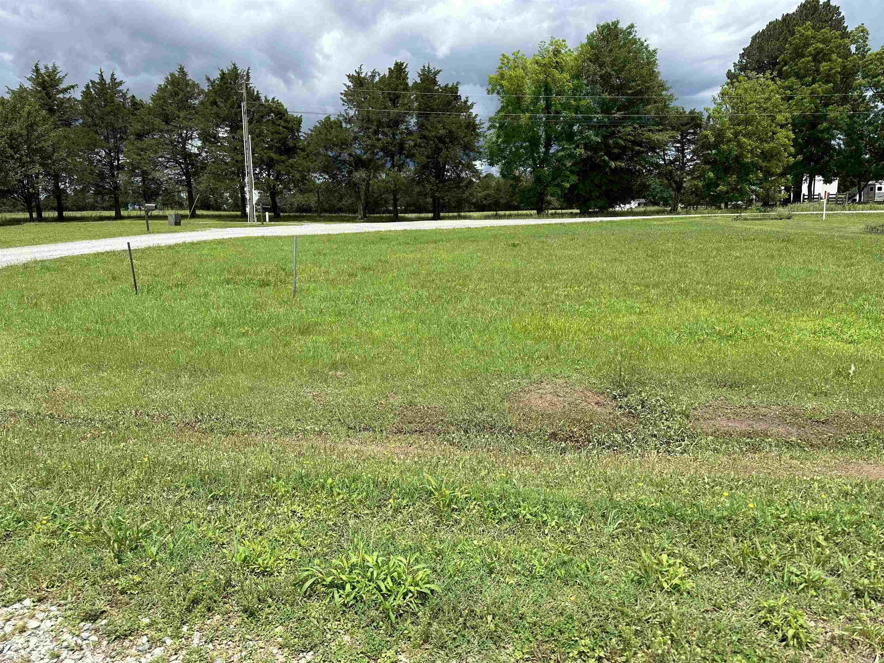 Listing 581659