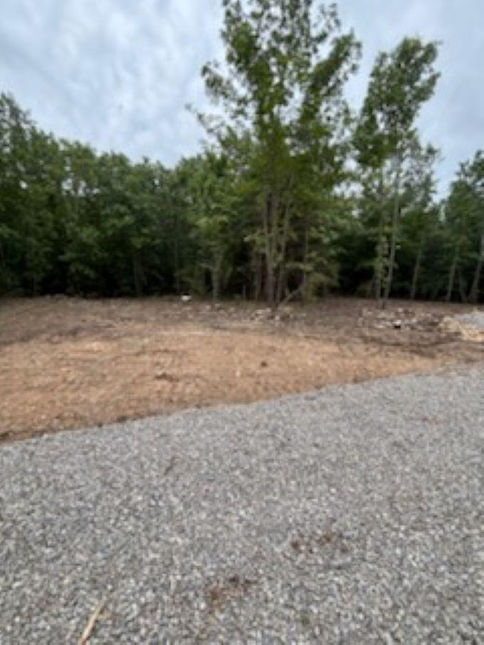 Photo 2 - Vacant Land for sale – 38  FM 101 RD   Highland, AR
