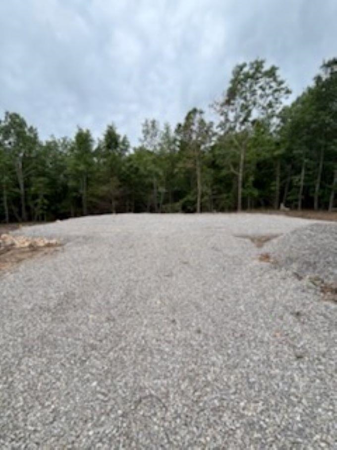 Photo 3 - Vacant Land for sale – 38  FM 101 RD   Highland, AR