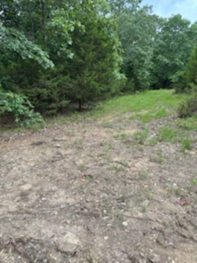Photo 4 - Vacant Land for sale – 38  FM 101 RD   Highland, AR