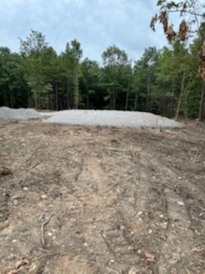 Photo 5 - Vacant Land for sale – 38  FM 101 RD   Highland, AR