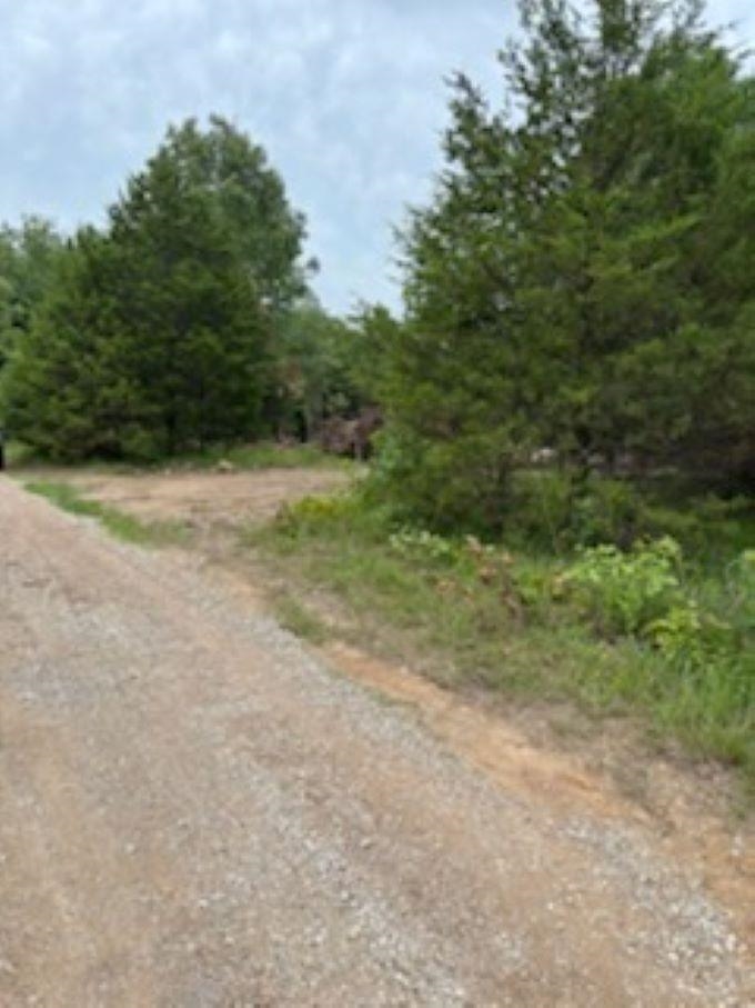 Photo 6 - Vacant Land for sale – 38  FM 101 RD   Highland, AR