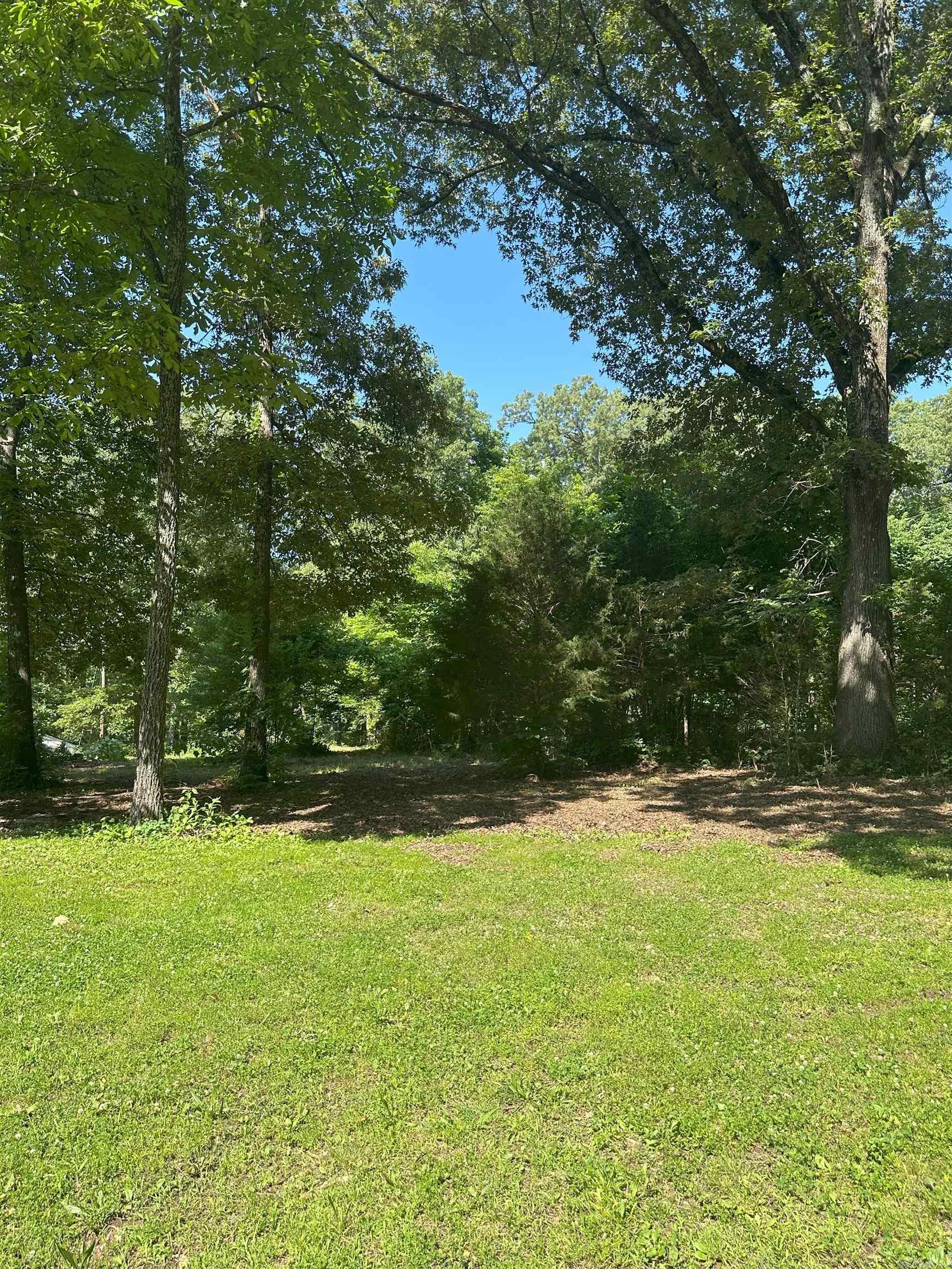 Photo 4 - Residential for sale – 11 S Ontario   Cherokee Village, AR