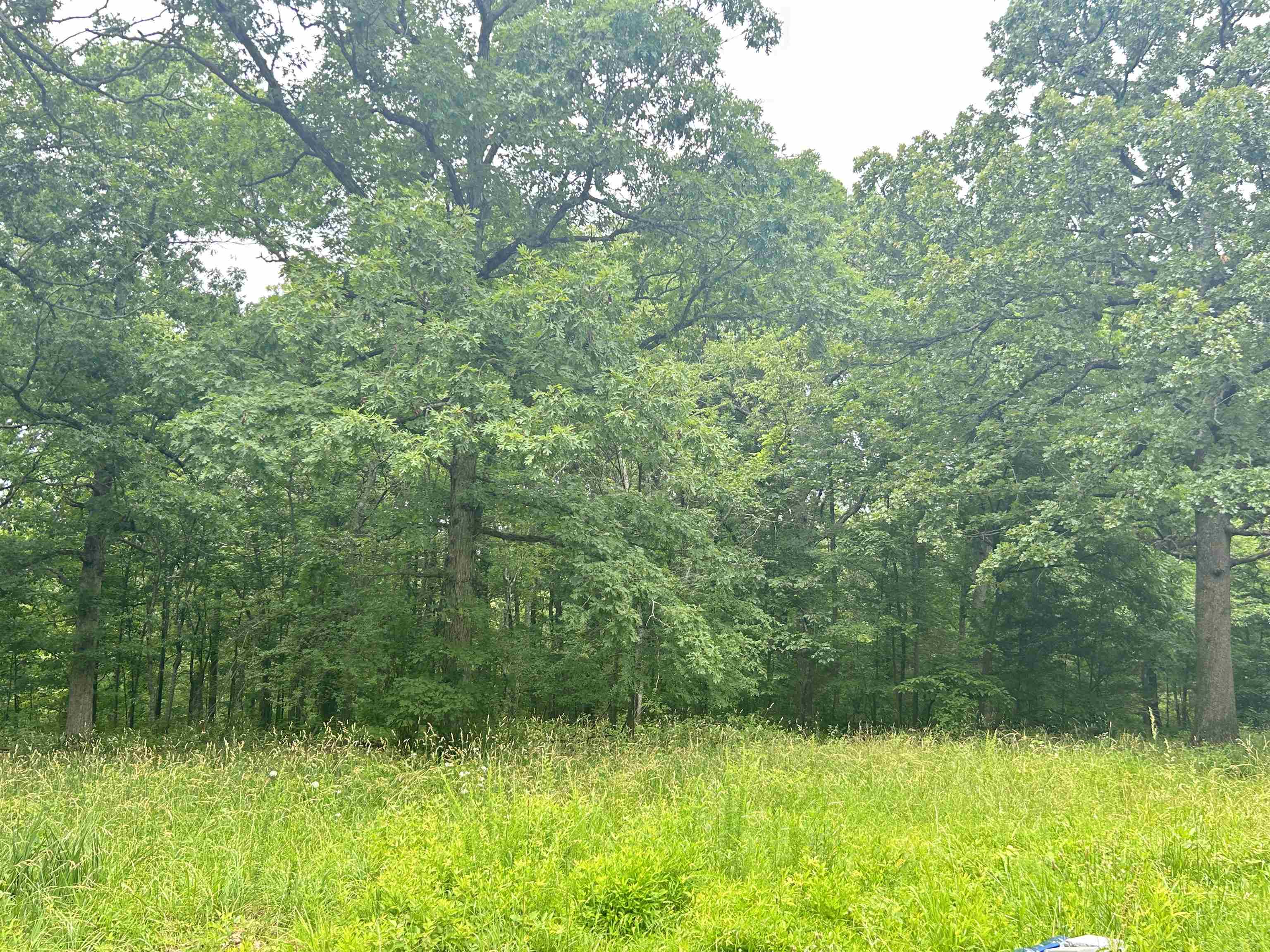 Photo 11 - Vacant Land for sale – TBD  FM 101   Highland, AR