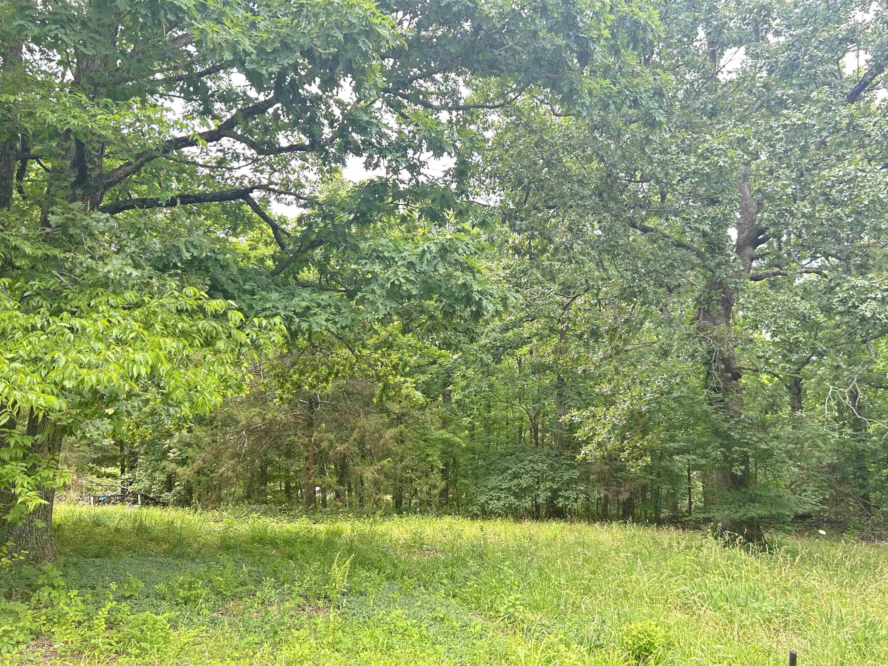 Photo 12 - Vacant Land for sale – TBD  FM 101   Highland, AR