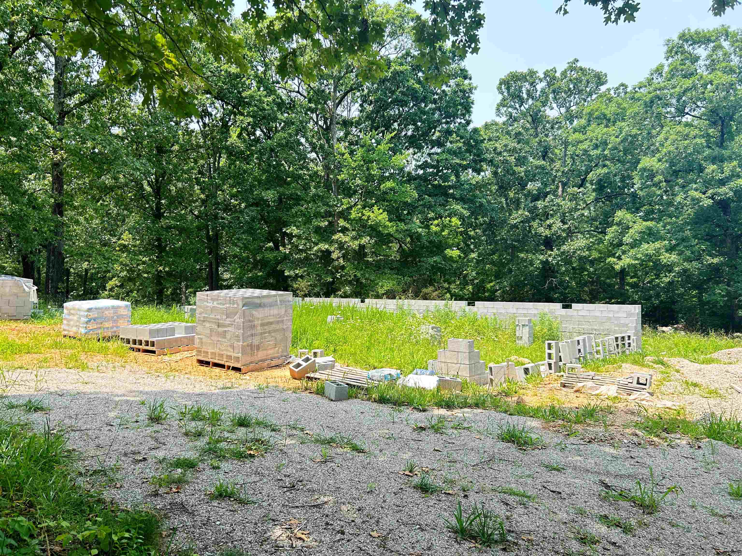 Photo 4 - Vacant Land for sale – TBD  FM 101   Highland, AR