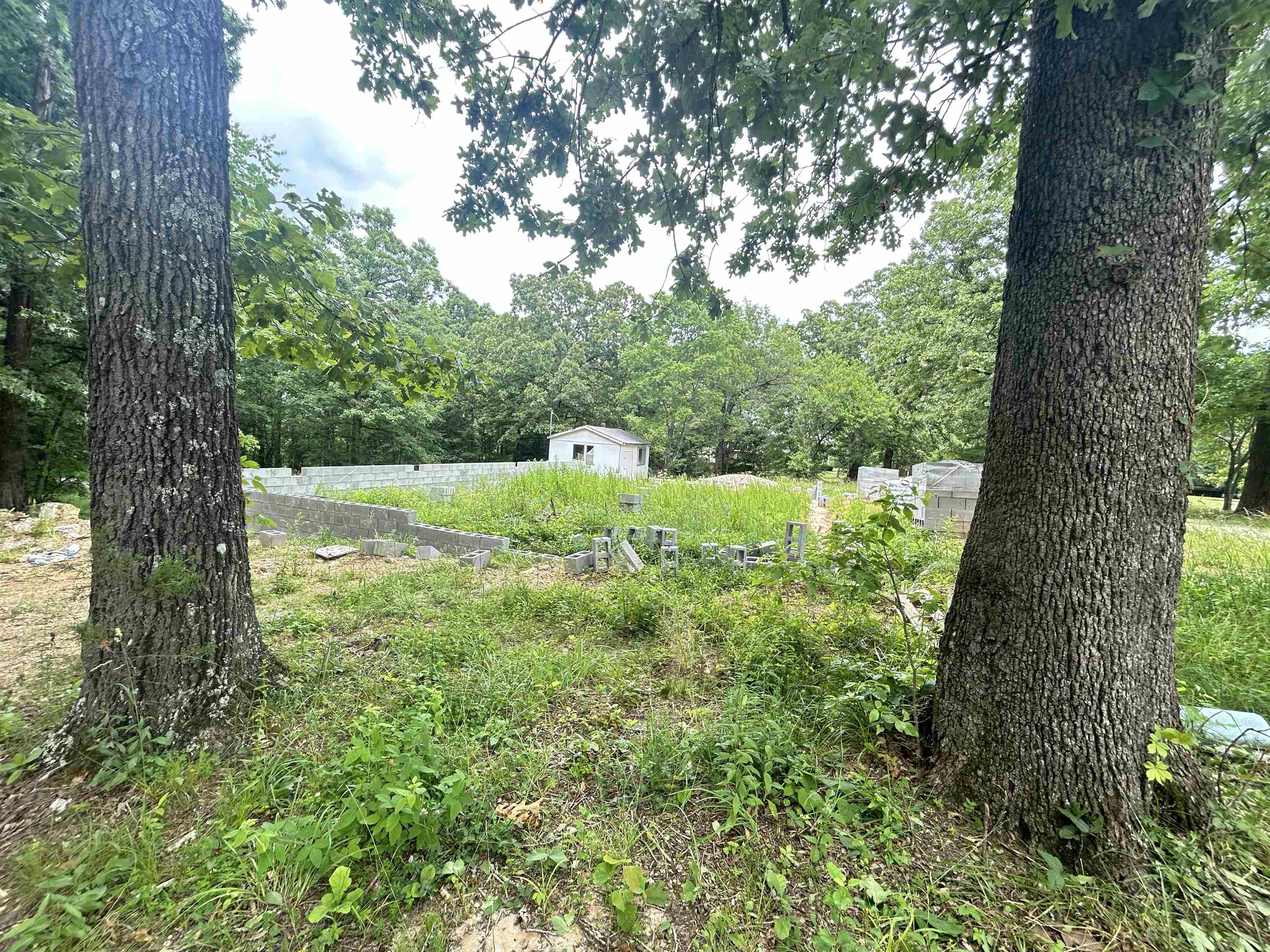 Photo 5 - Vacant Land for sale – TBD  FM 101   Highland, AR