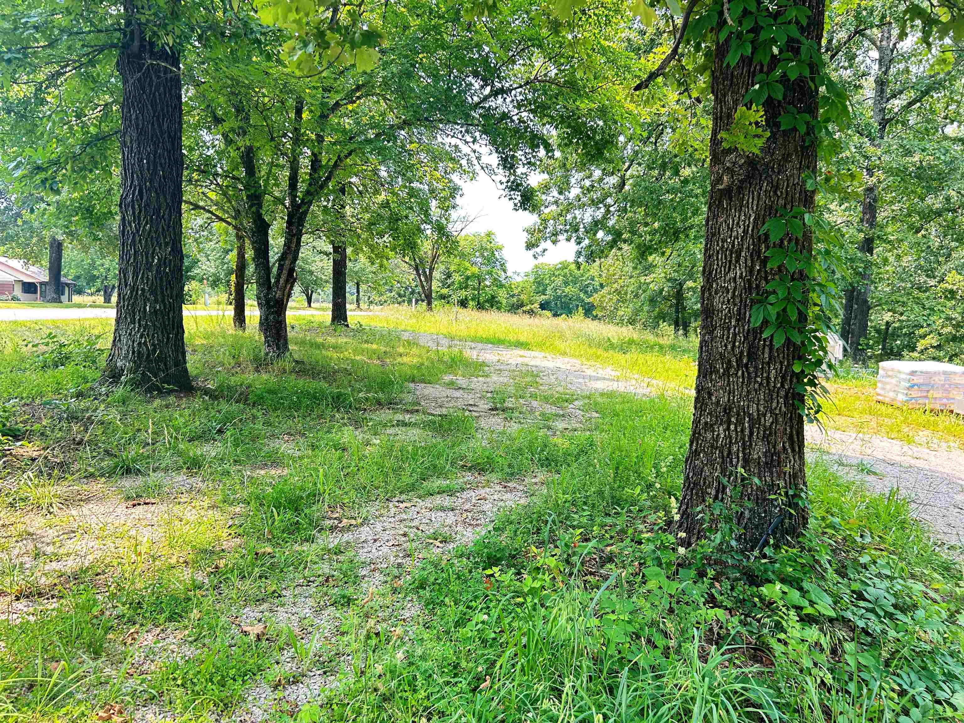 Photo 6 - Vacant Land for sale – TBD  FM 101   Highland, AR