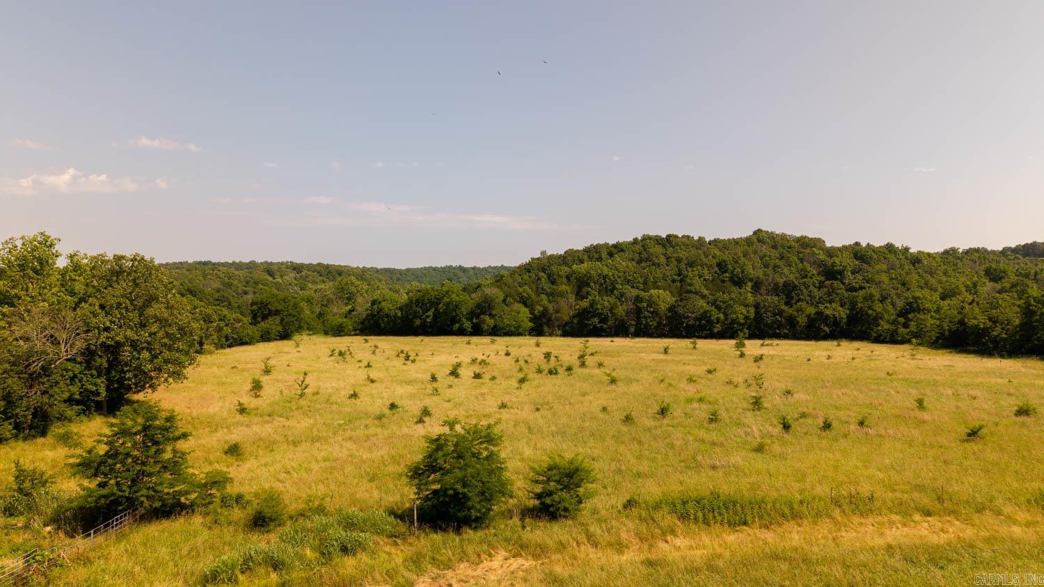 Photo 12 - Residential for sale – 804  Banks Road   Hardy, AR