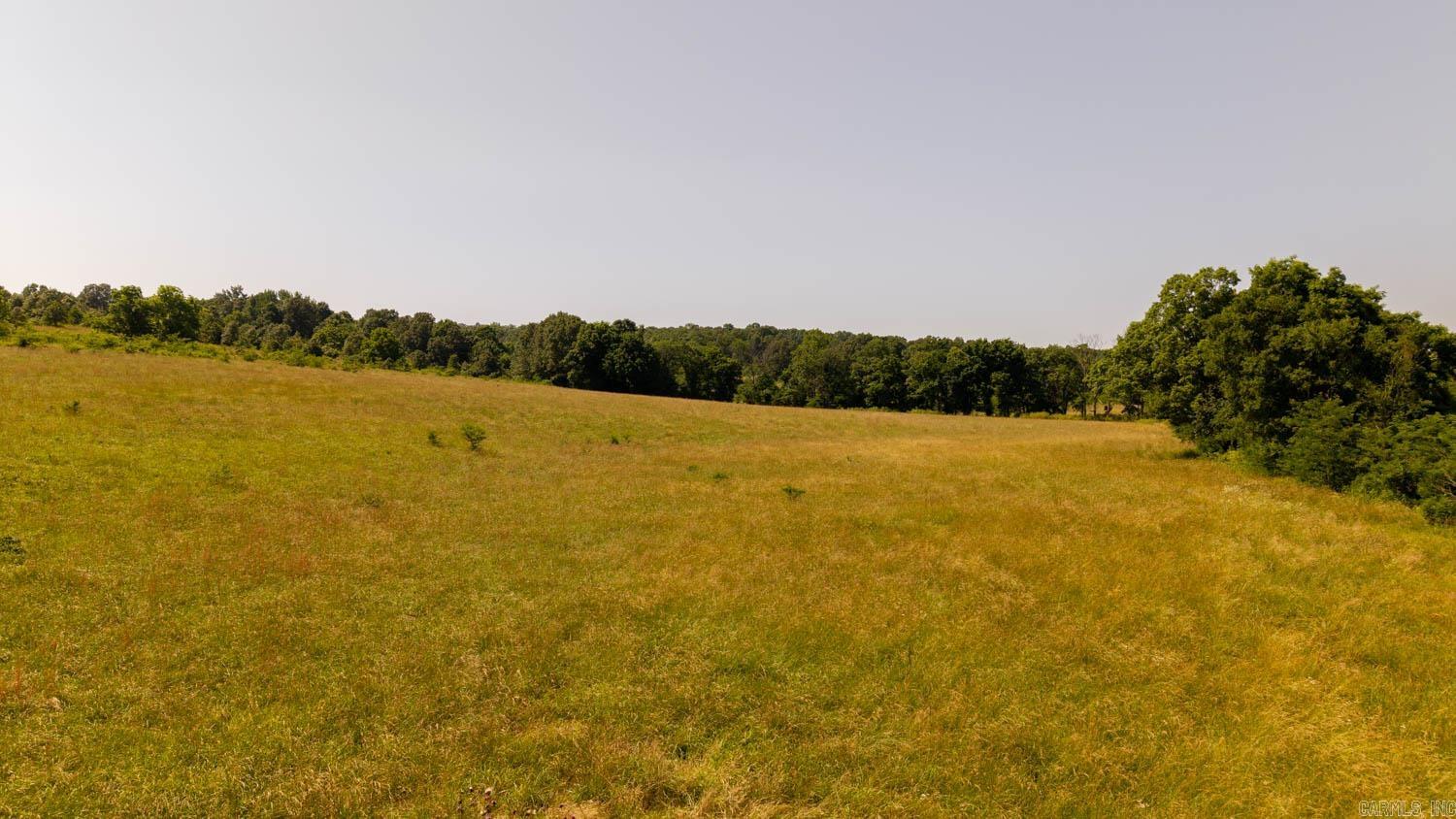 Photo 12 - Residential for sale – 804  Banks Road   Hardy, AR