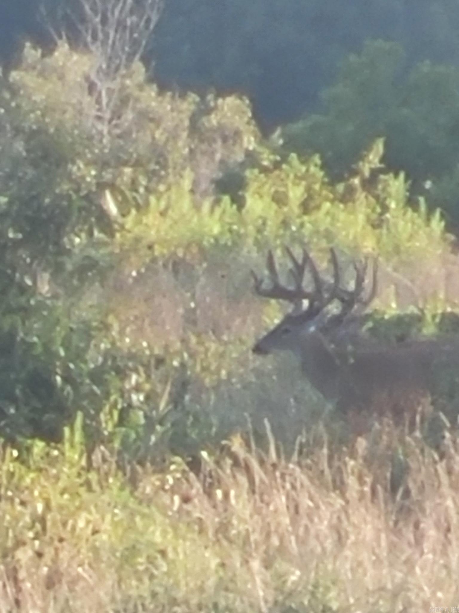 Photo 48 - Residential for sale – 804  Banks Road   Hardy, AR