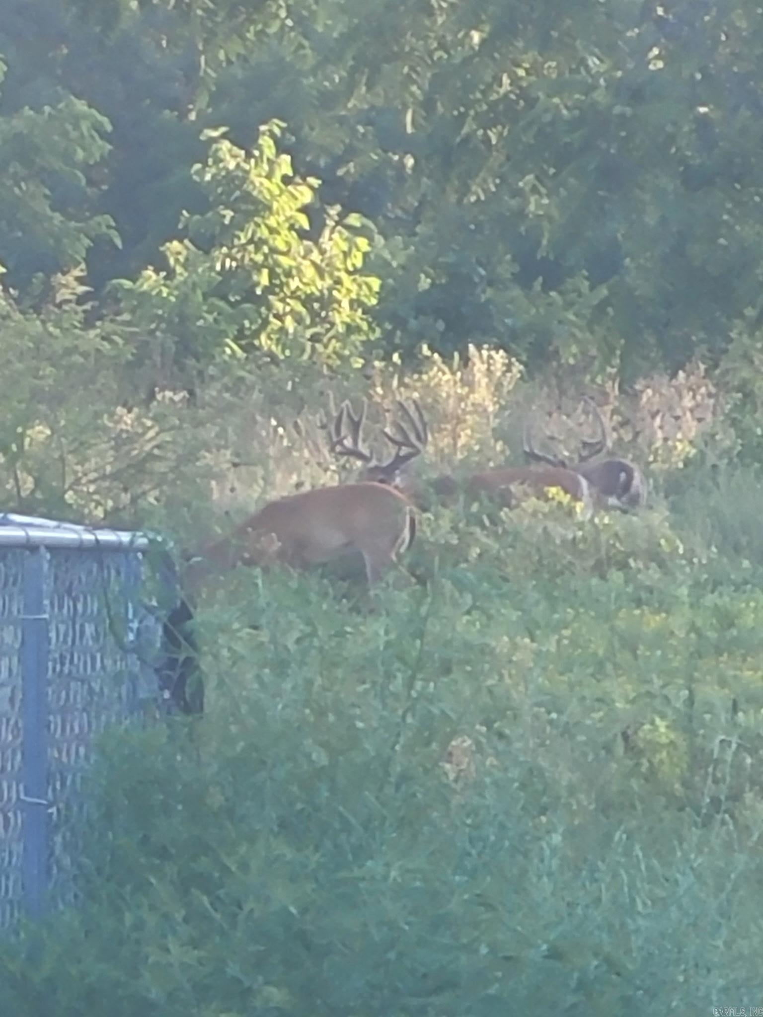 Photo 49 - Residential for sale – 804  Banks Road   Hardy, AR