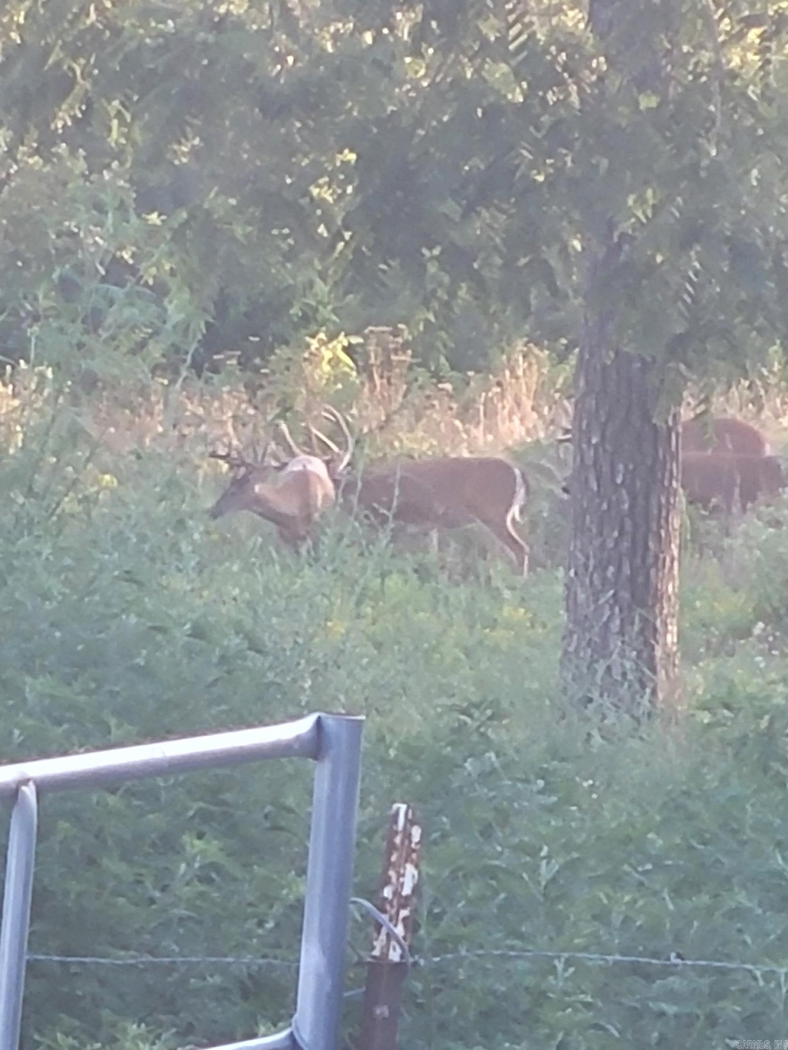 Photo 50 - Residential for sale – 804  Banks Road   Hardy, AR