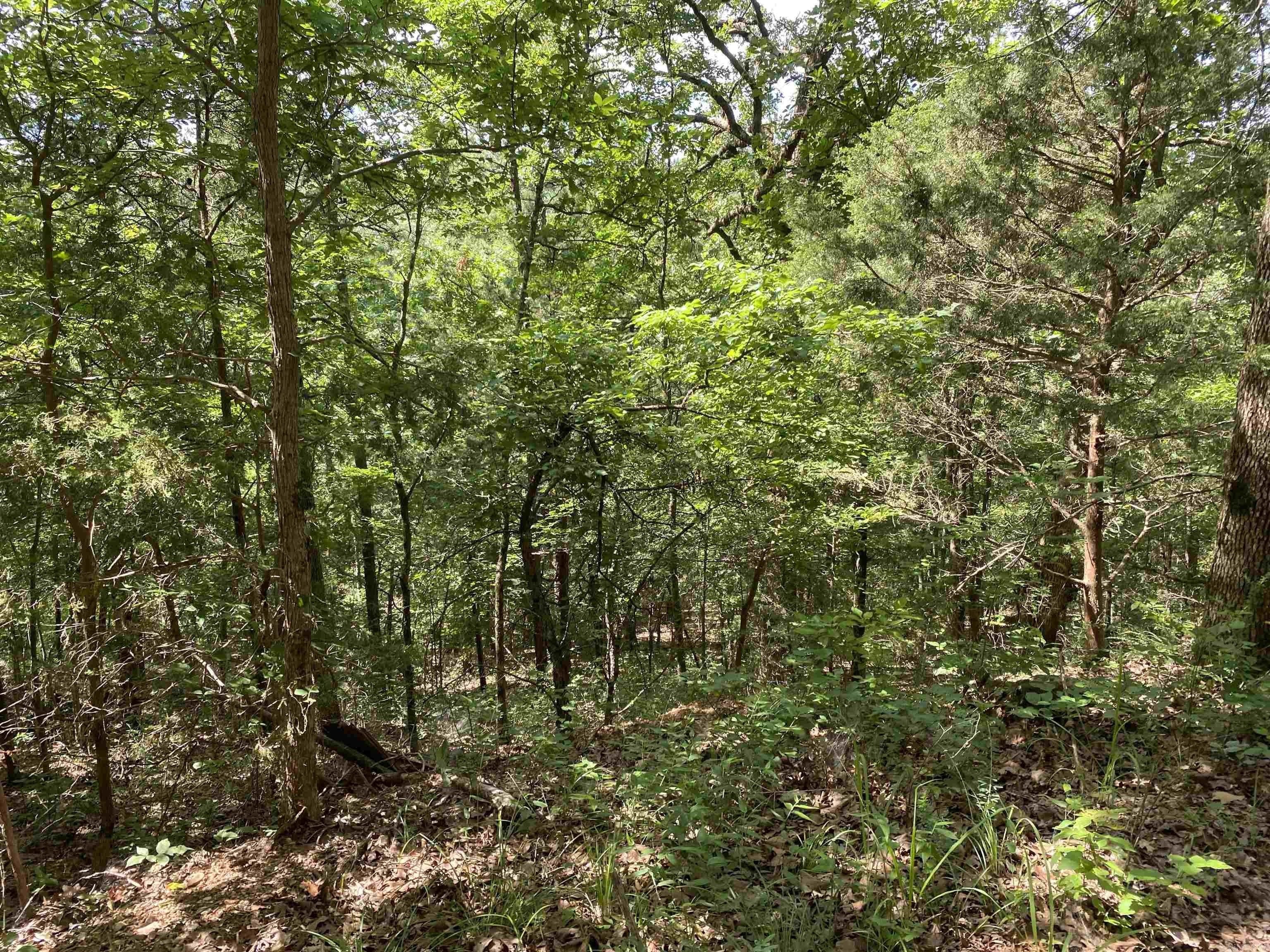 Photo 35 - Residential for sale – 14568 S AR Hwy 9   Melbourne, AR