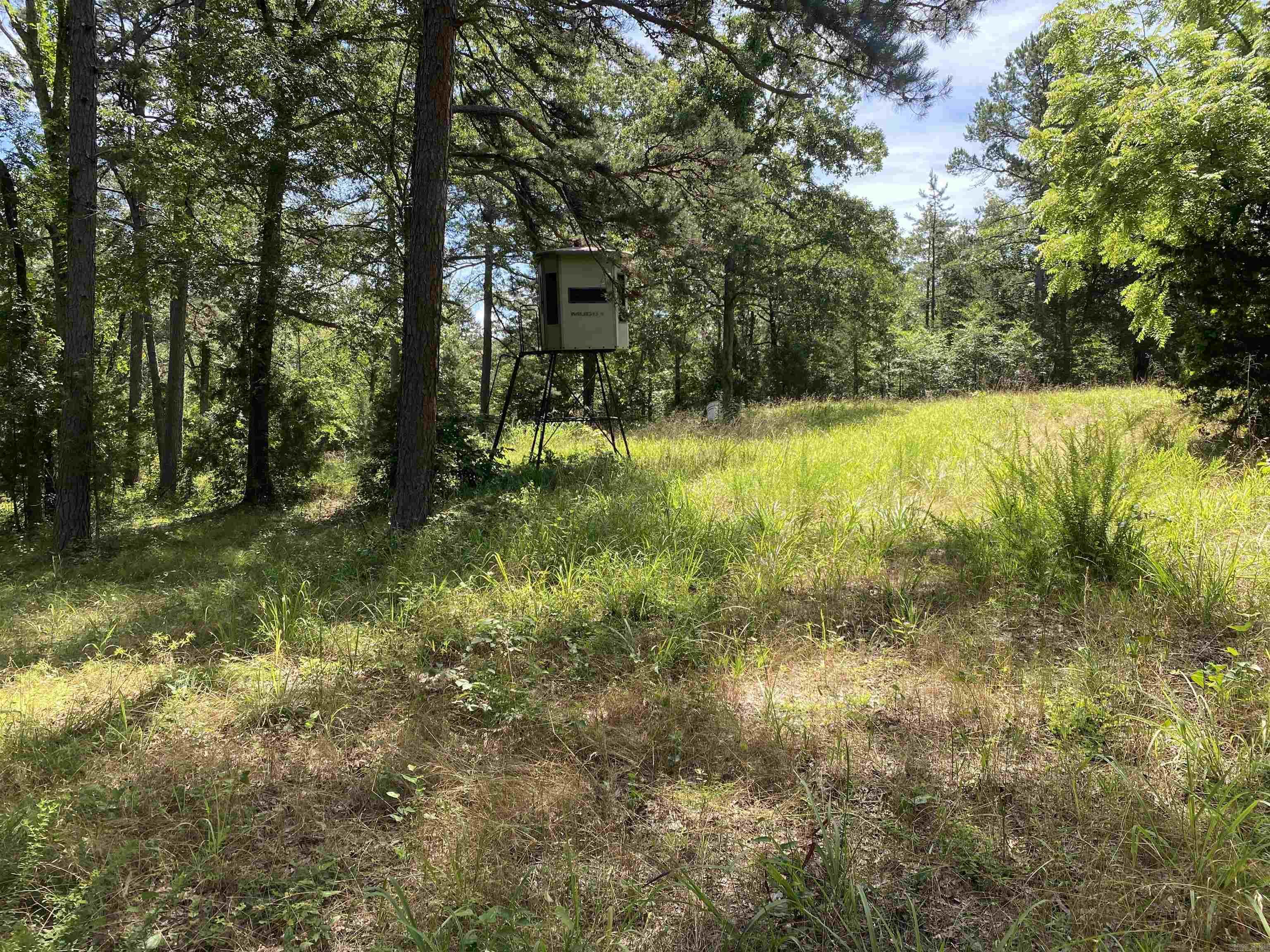 Photo 36 - Residential for sale – 14568 S AR Hwy 9   Melbourne, AR