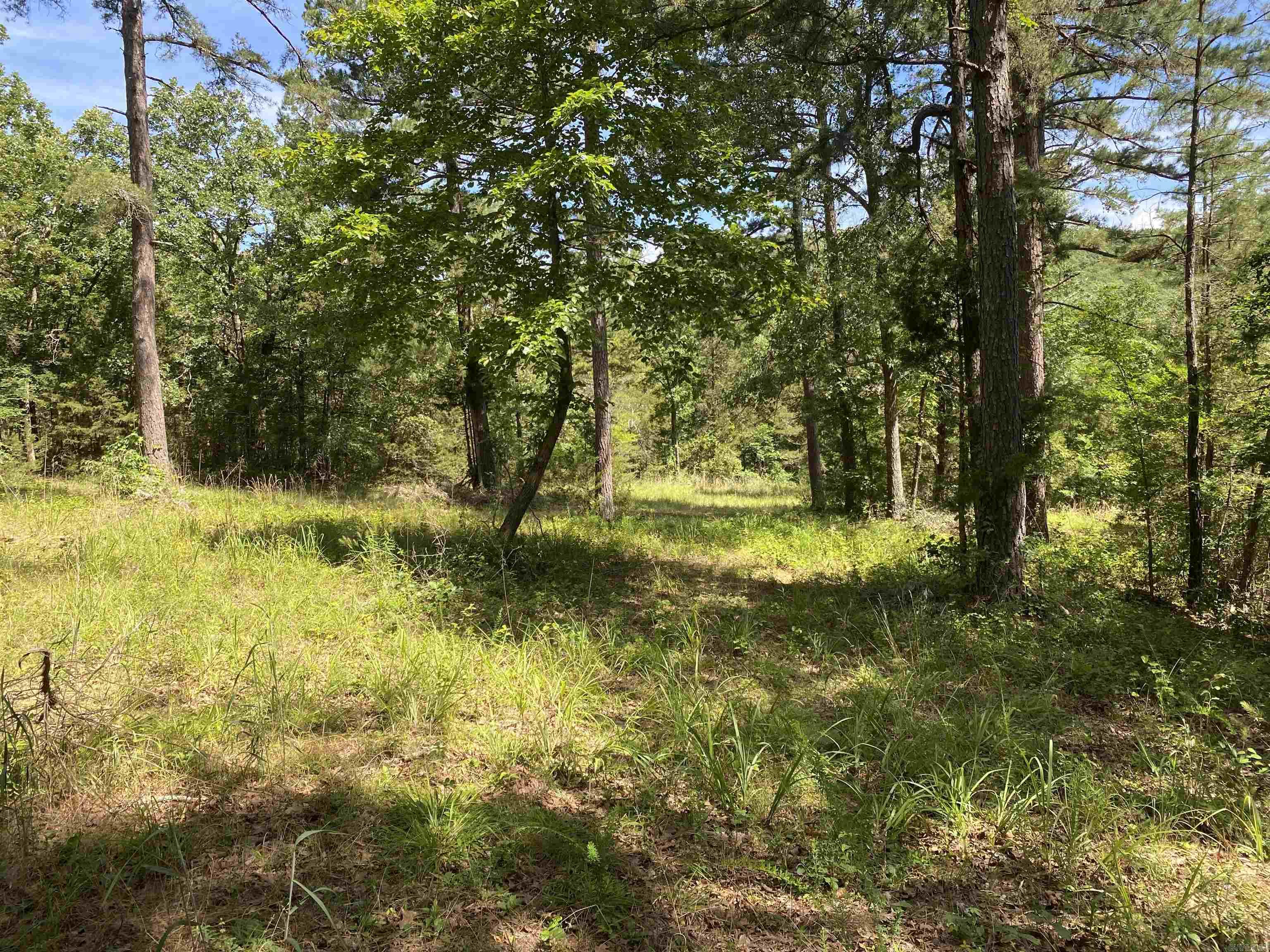 Photo 45 - Residential for sale – 14568 S AR Hwy 9   Melbourne, AR