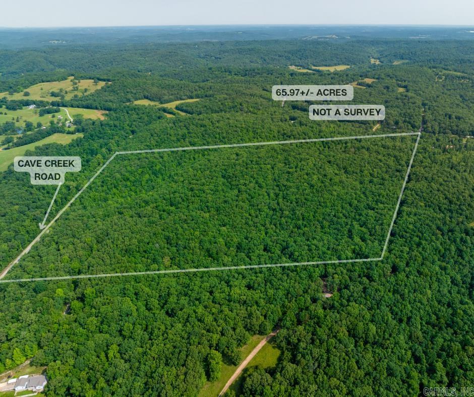 Photo 2 - Vacant Land for sale – 000  Cave Creek   Batesville, AR
