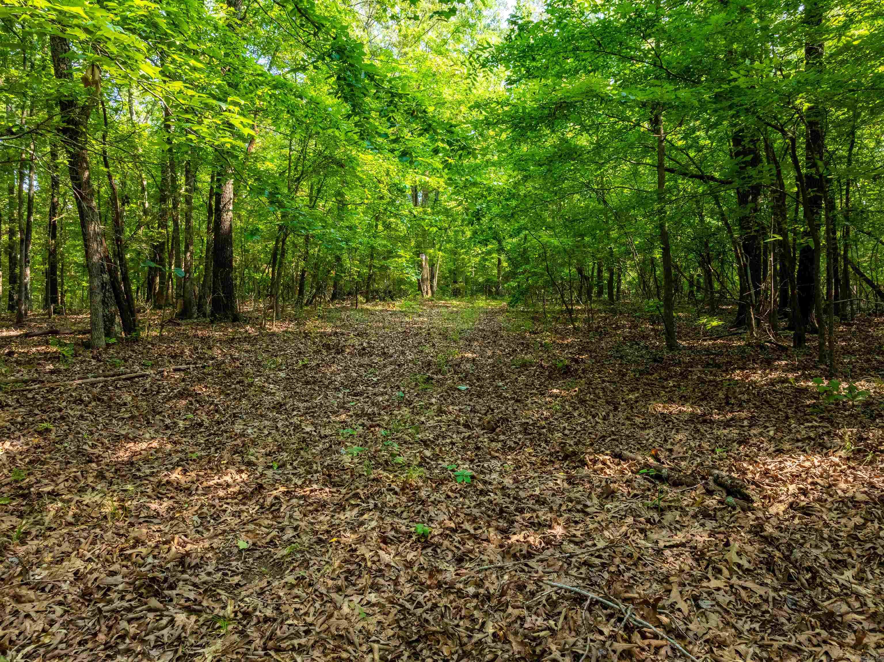 Photo 2 - Vacant Land for sale – 000  Cave Creek   Batesville, AR