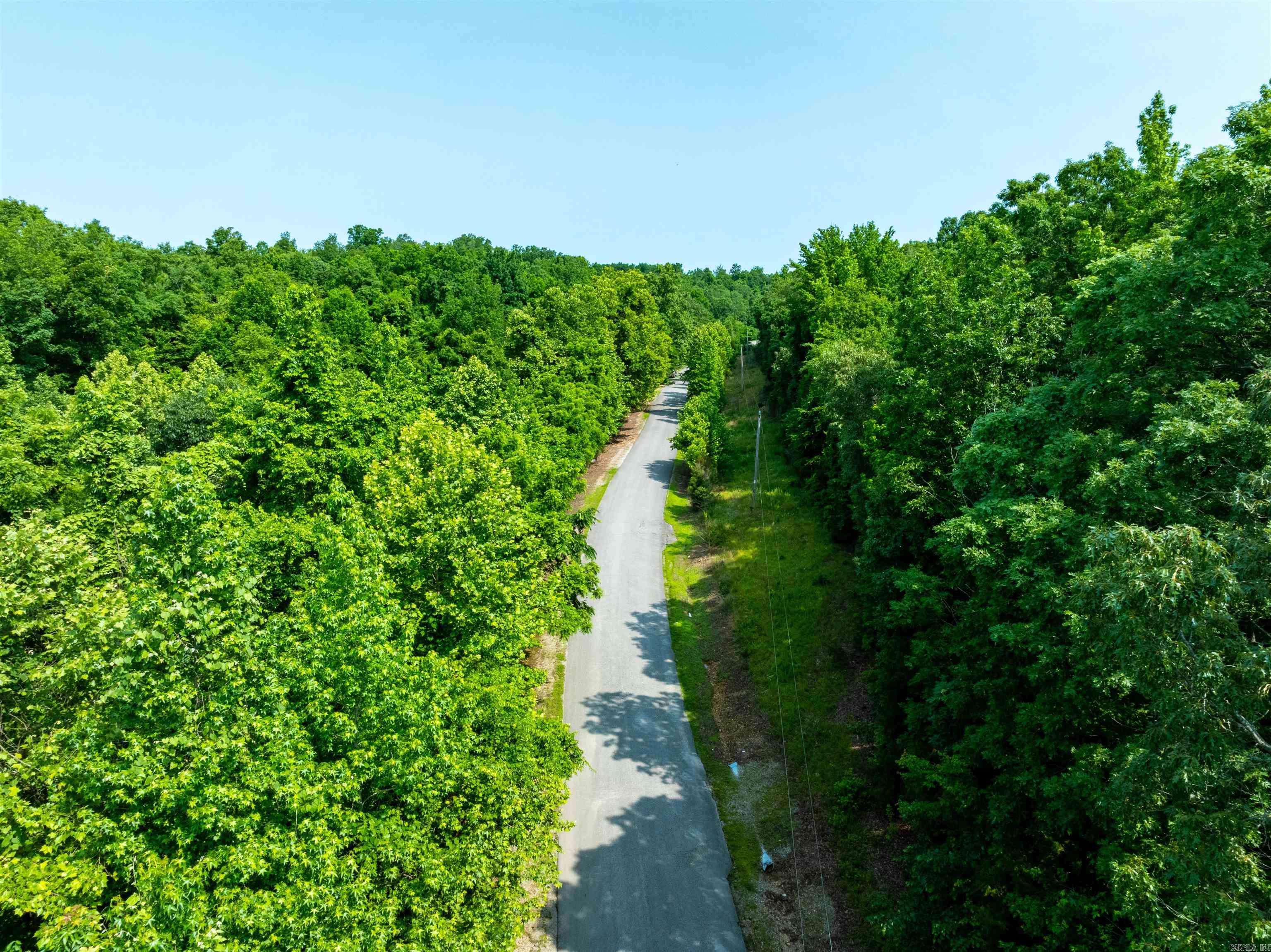 Photo 12 - Vacant Land for sale – 000  Cave Creek   Batesville, AR