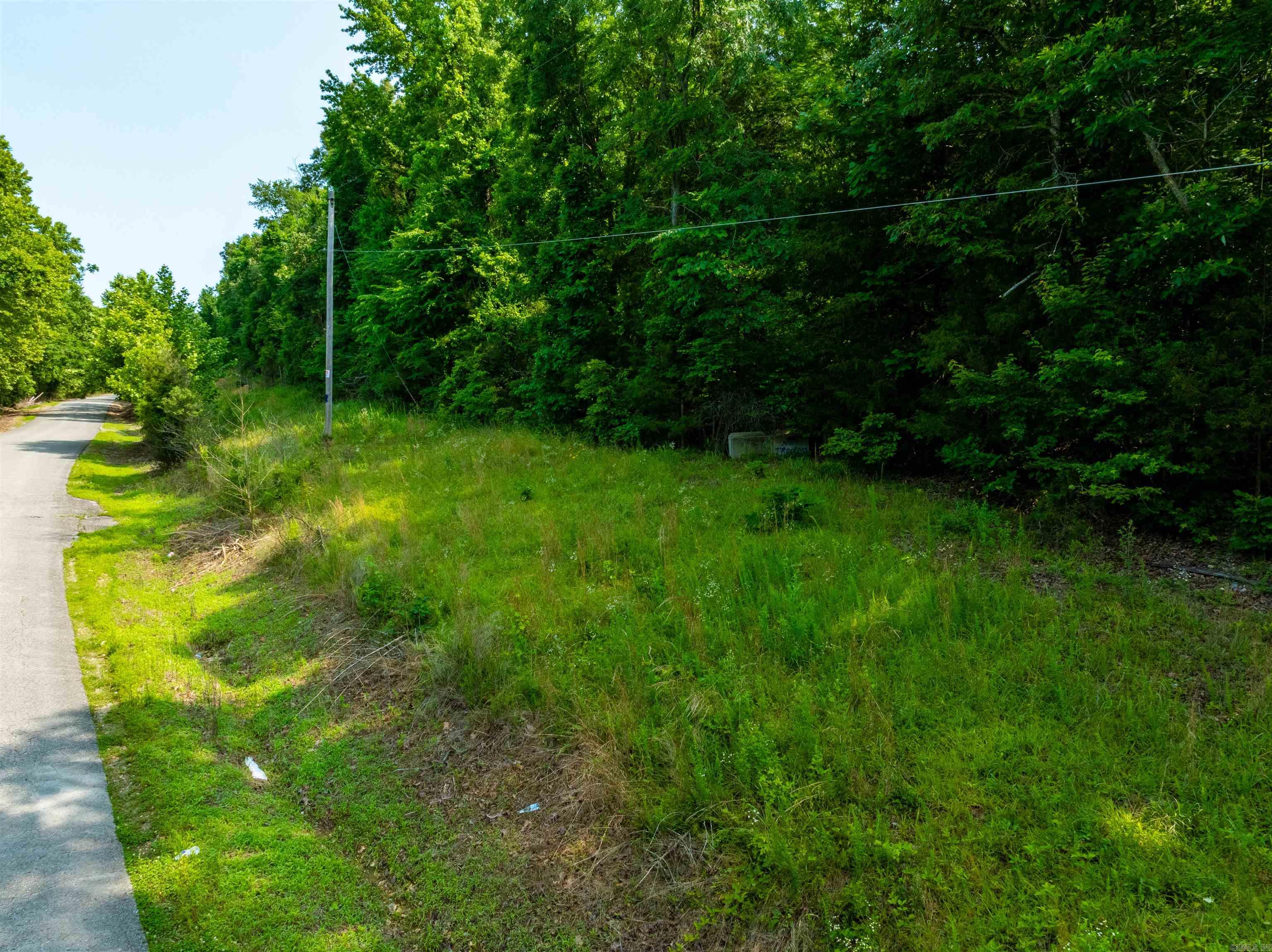 Photo 13 - Vacant Land for sale – 000  Cave Creek   Batesville, AR