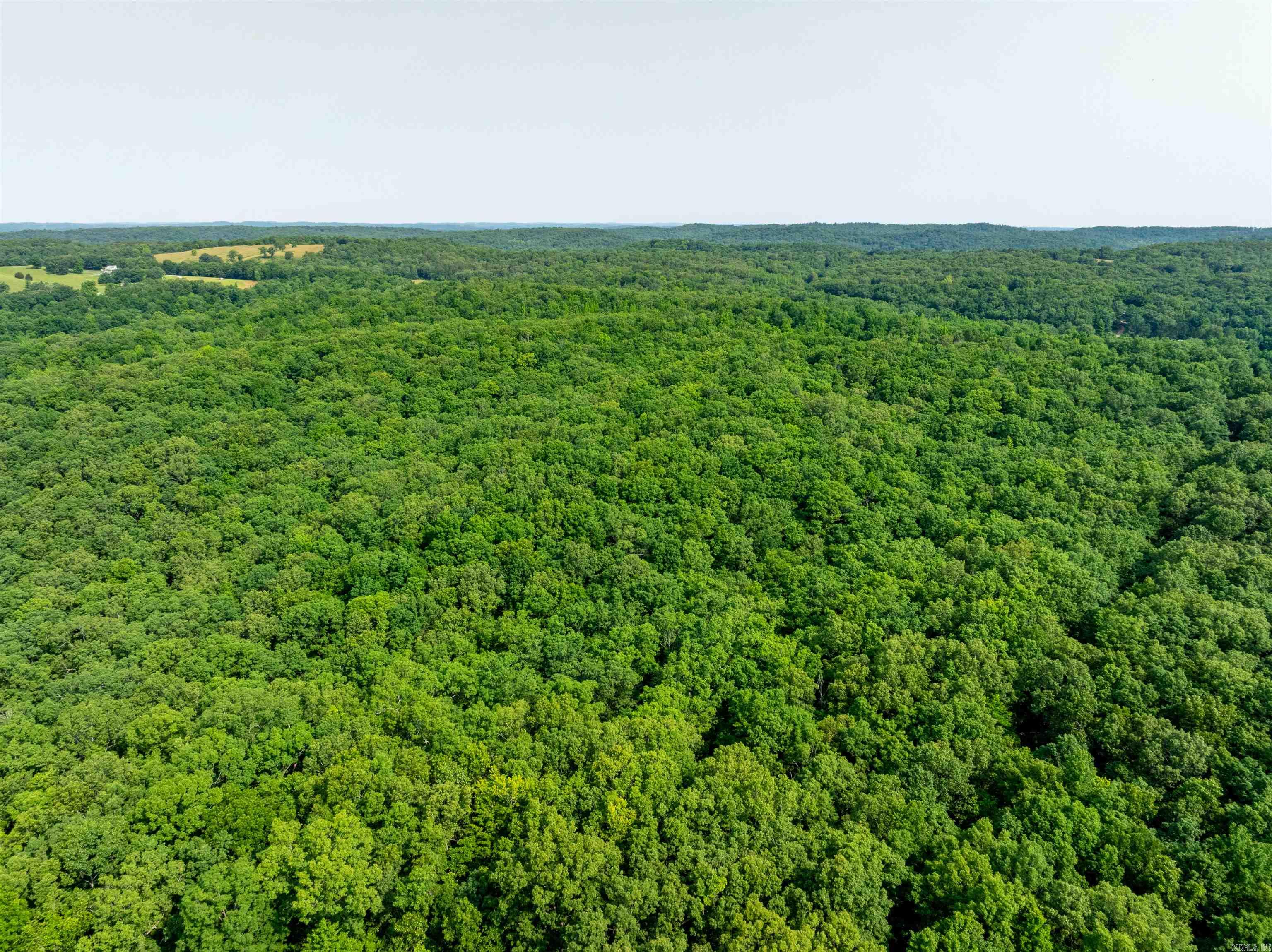 Photo 16 - Vacant Land for sale – 000  Cave Creek   Batesville, AR