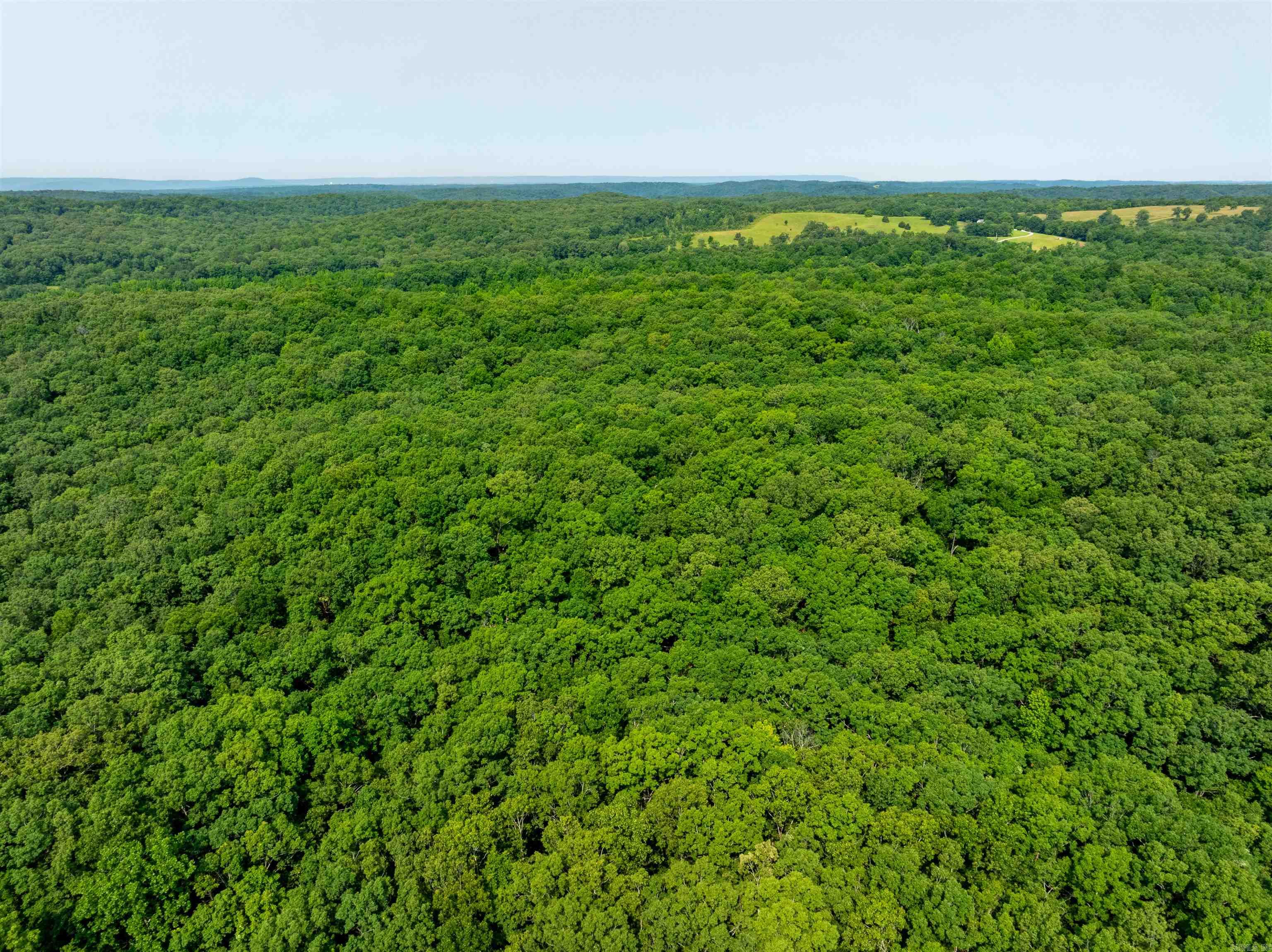 Photo 19 - Vacant Land for sale – 000  Cave Creek   Batesville, AR