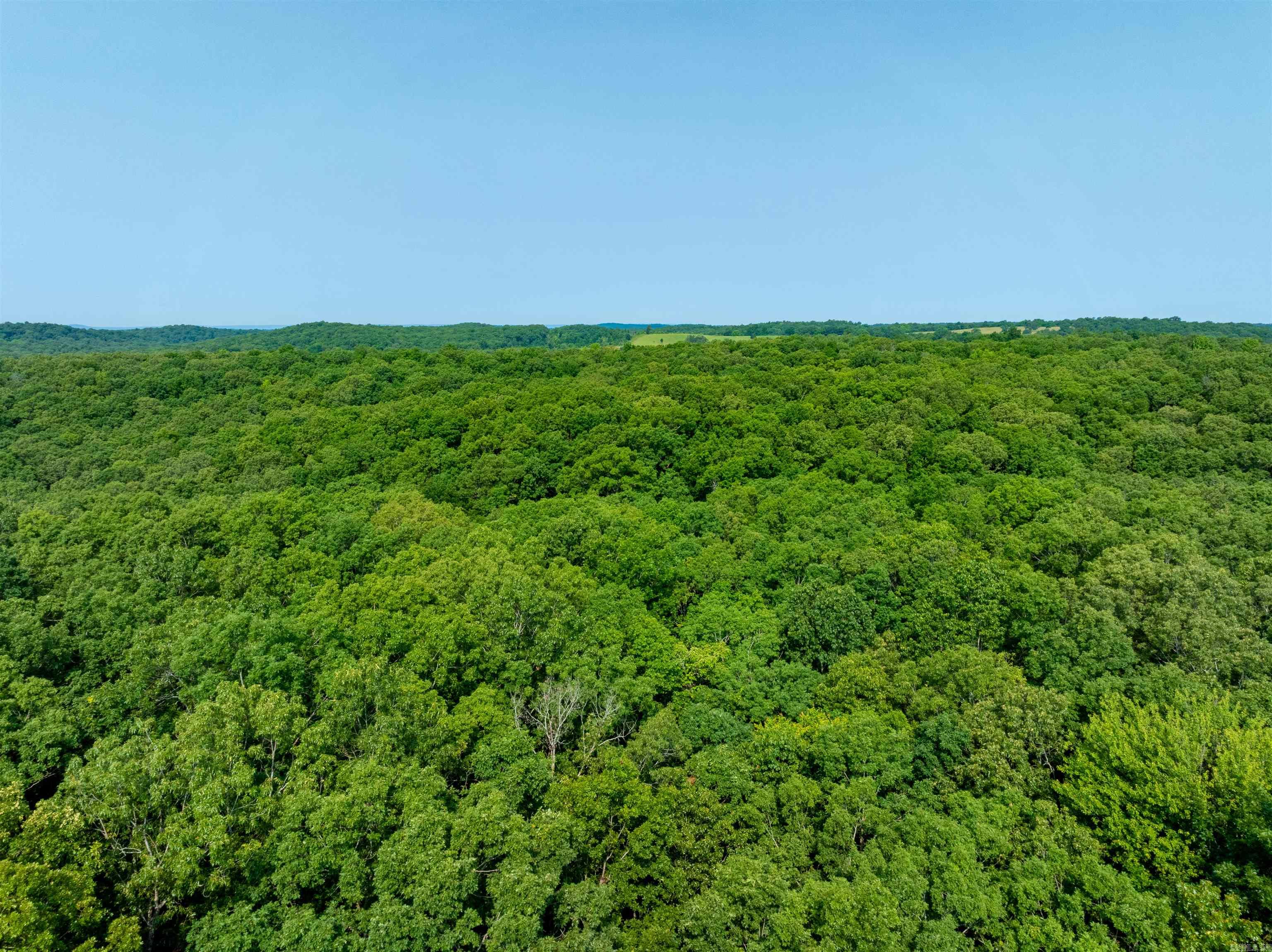 Photo 21 - Vacant Land for sale – 000  Cave Creek   Batesville, AR