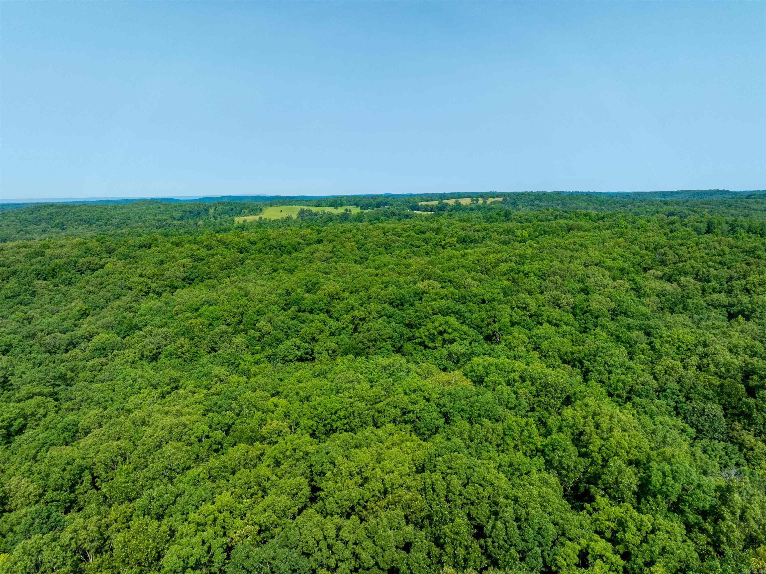 Photo 22 - Vacant Land for sale – 000  Cave Creek   Batesville, AR