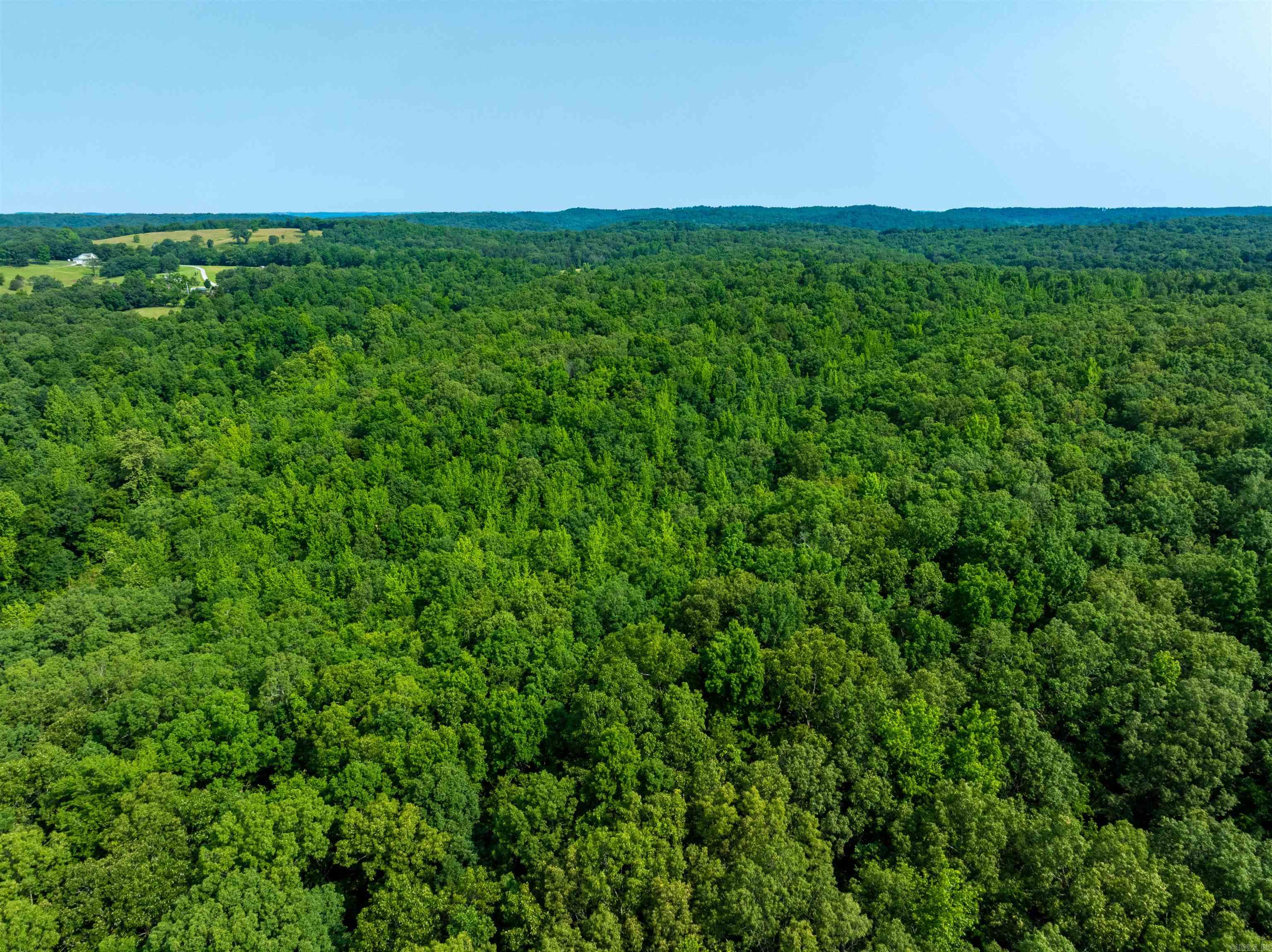 Photo 23 - Vacant Land for sale – 000  Cave Creek   Batesville, AR
